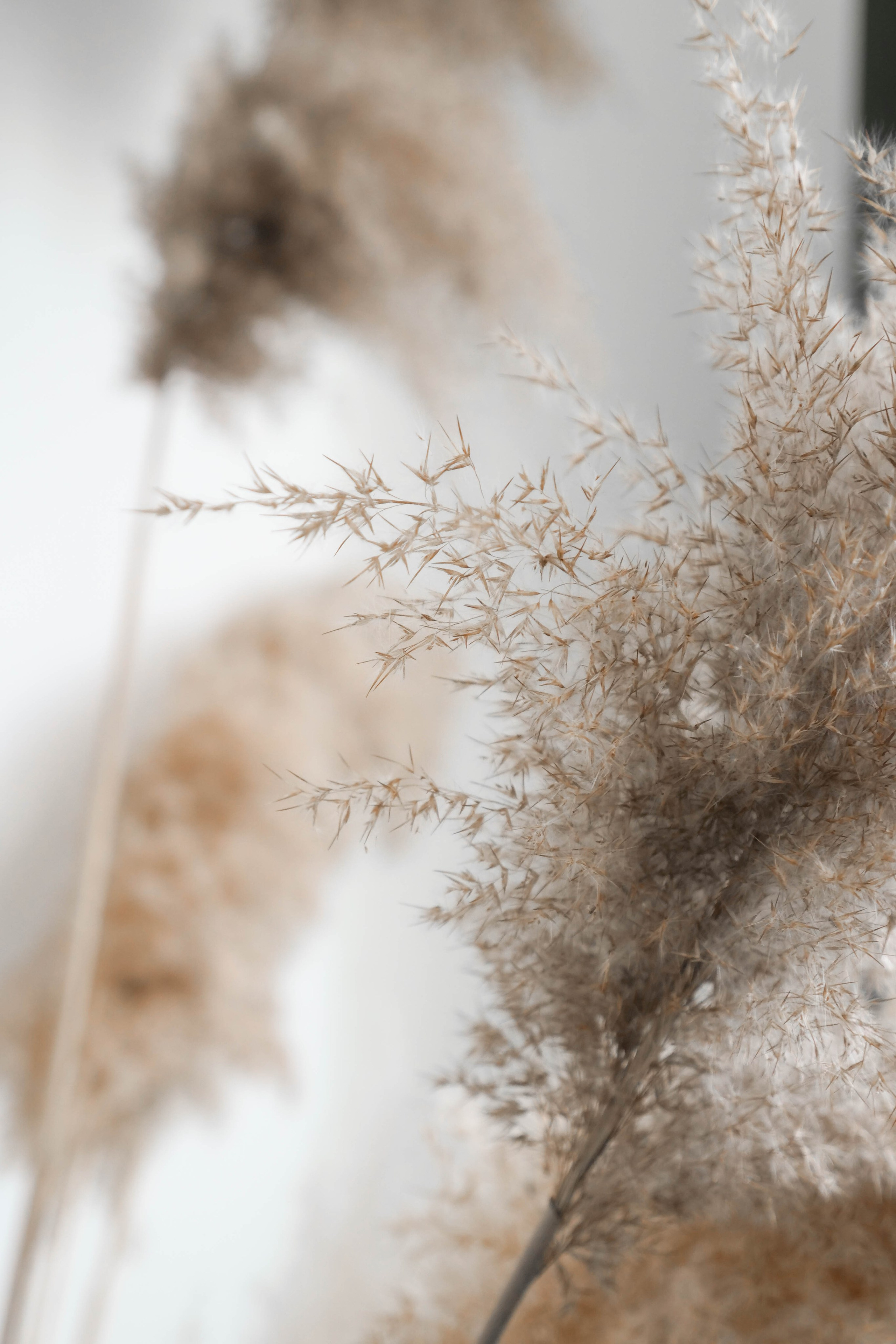 Екатерина. Фотограф / видеограф в Москве и Сочи Sofia Riversong