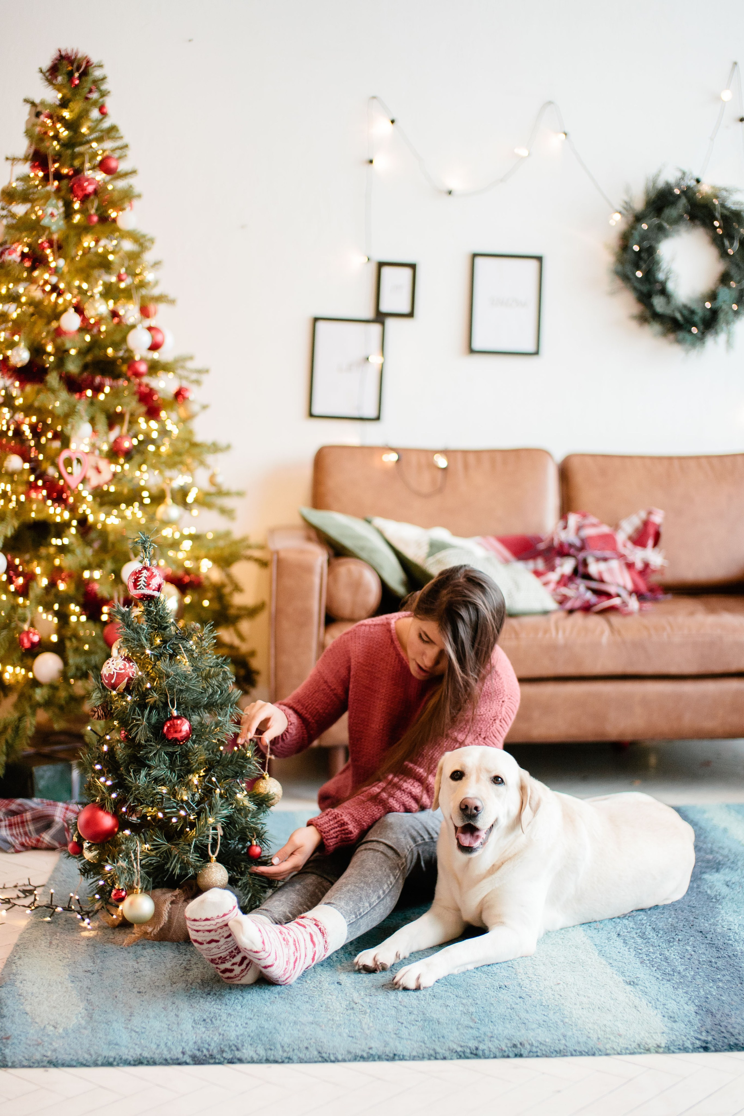 Семейная Новогодняя фотосессия в студии, фотограф в Москве