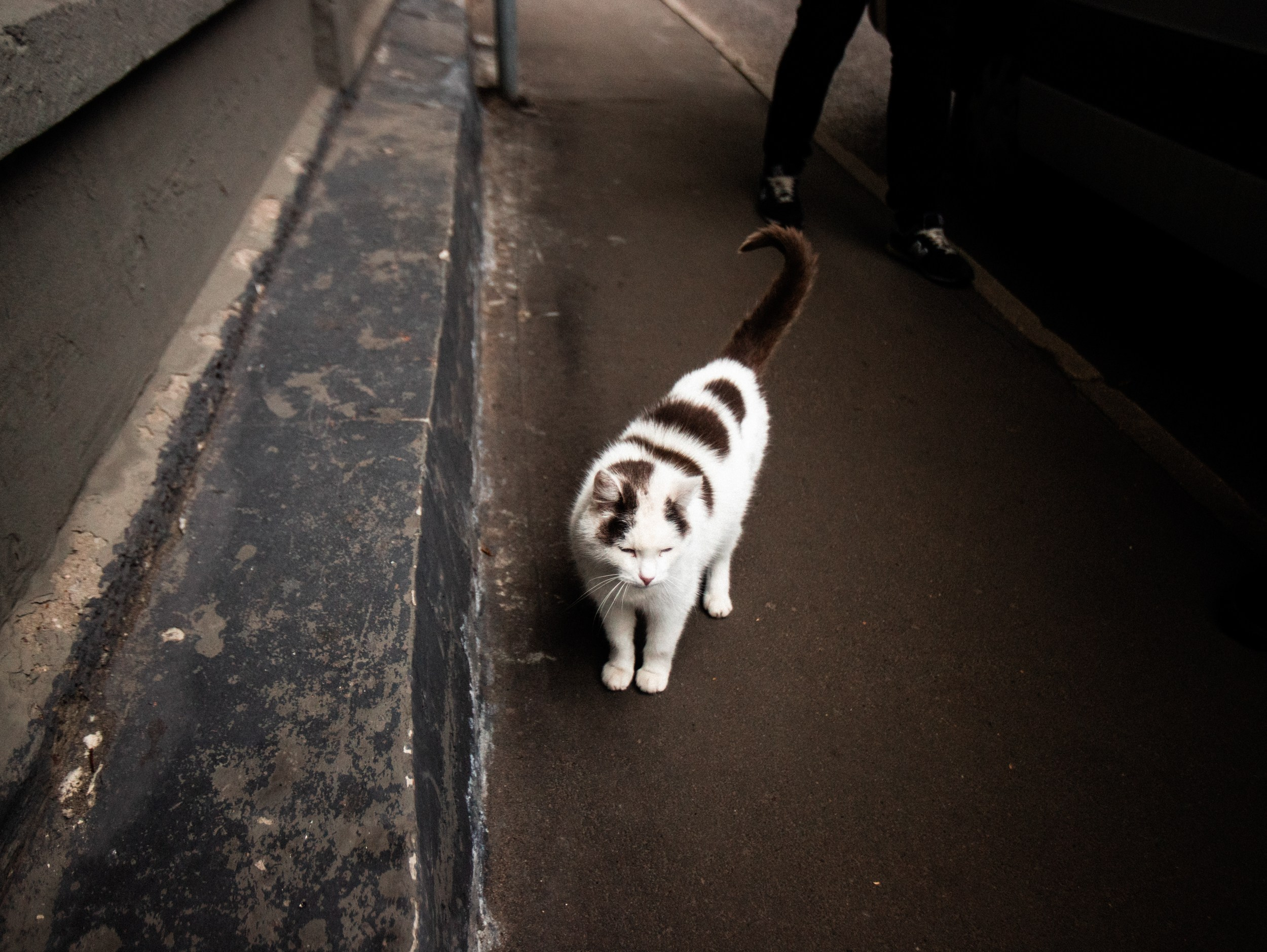 Роад трип TRNA СПБ-Москва 2021. Фотограф Мария Немм