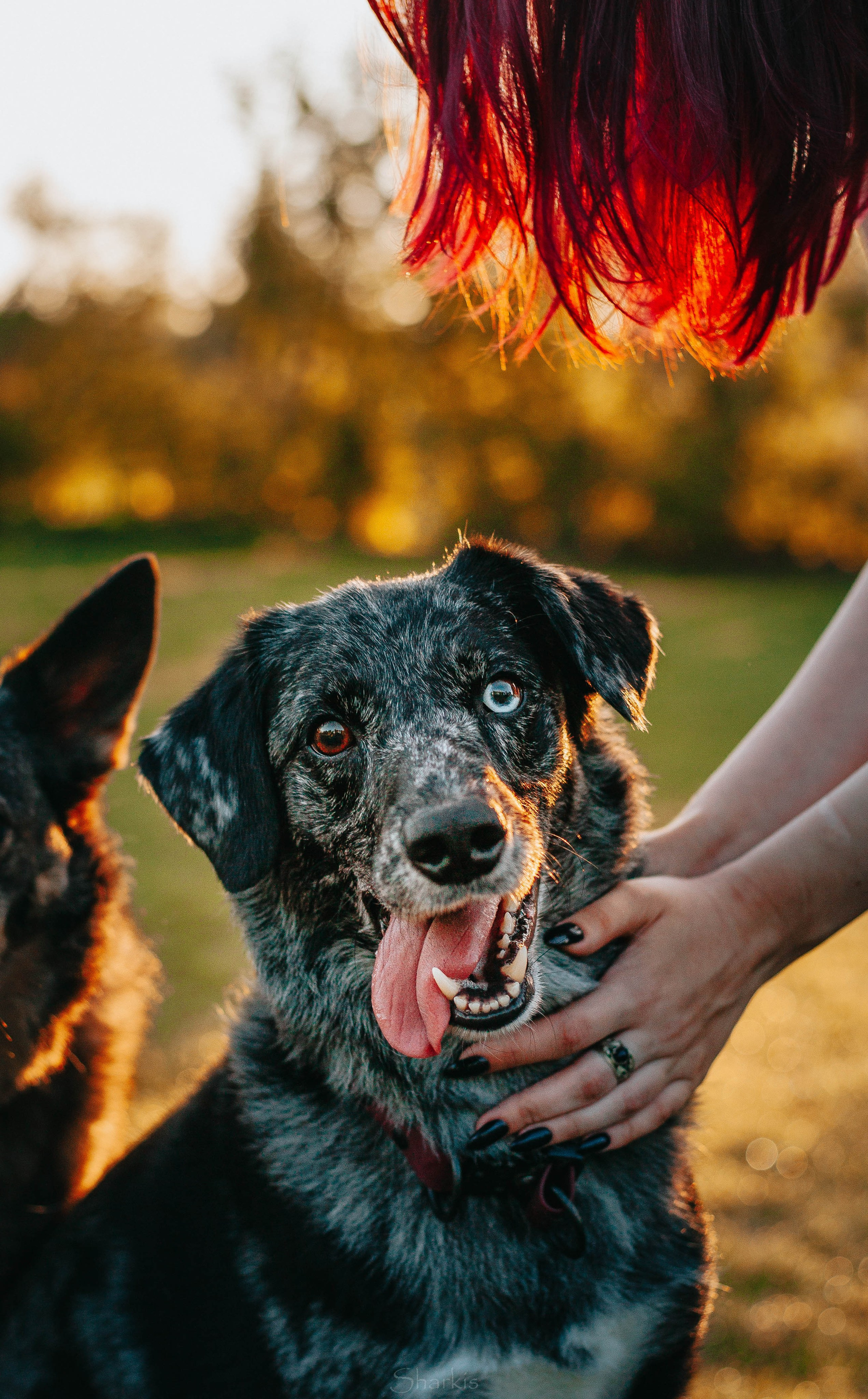 Вега и Гриша. Главная