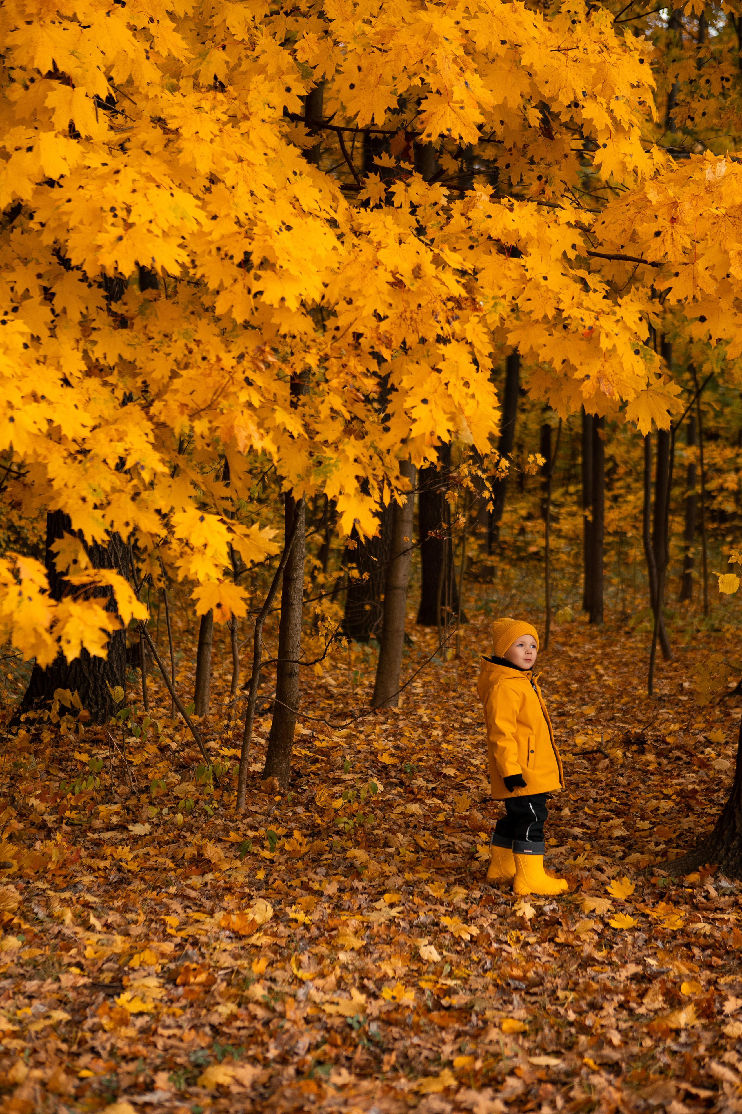Детские осенние. Фотограф в Москве Таша Логинова
