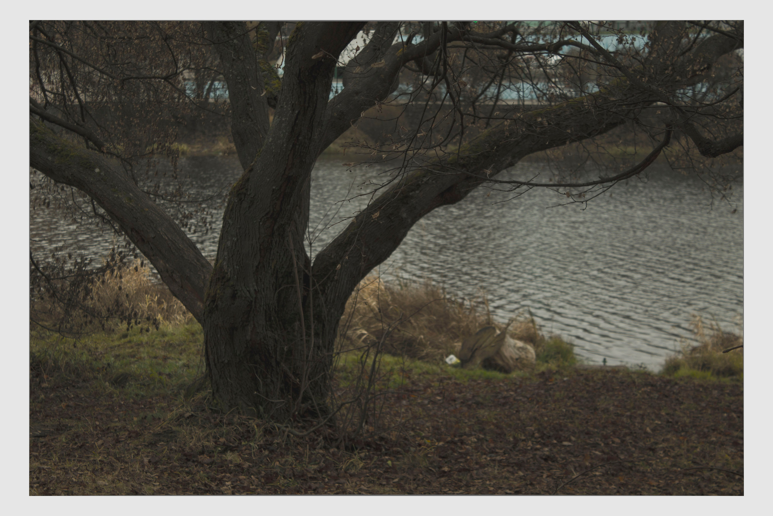 Мои первые работы. Фотограф из Москвы — DASHA NOVA | Авторская фотография в разных жанрах