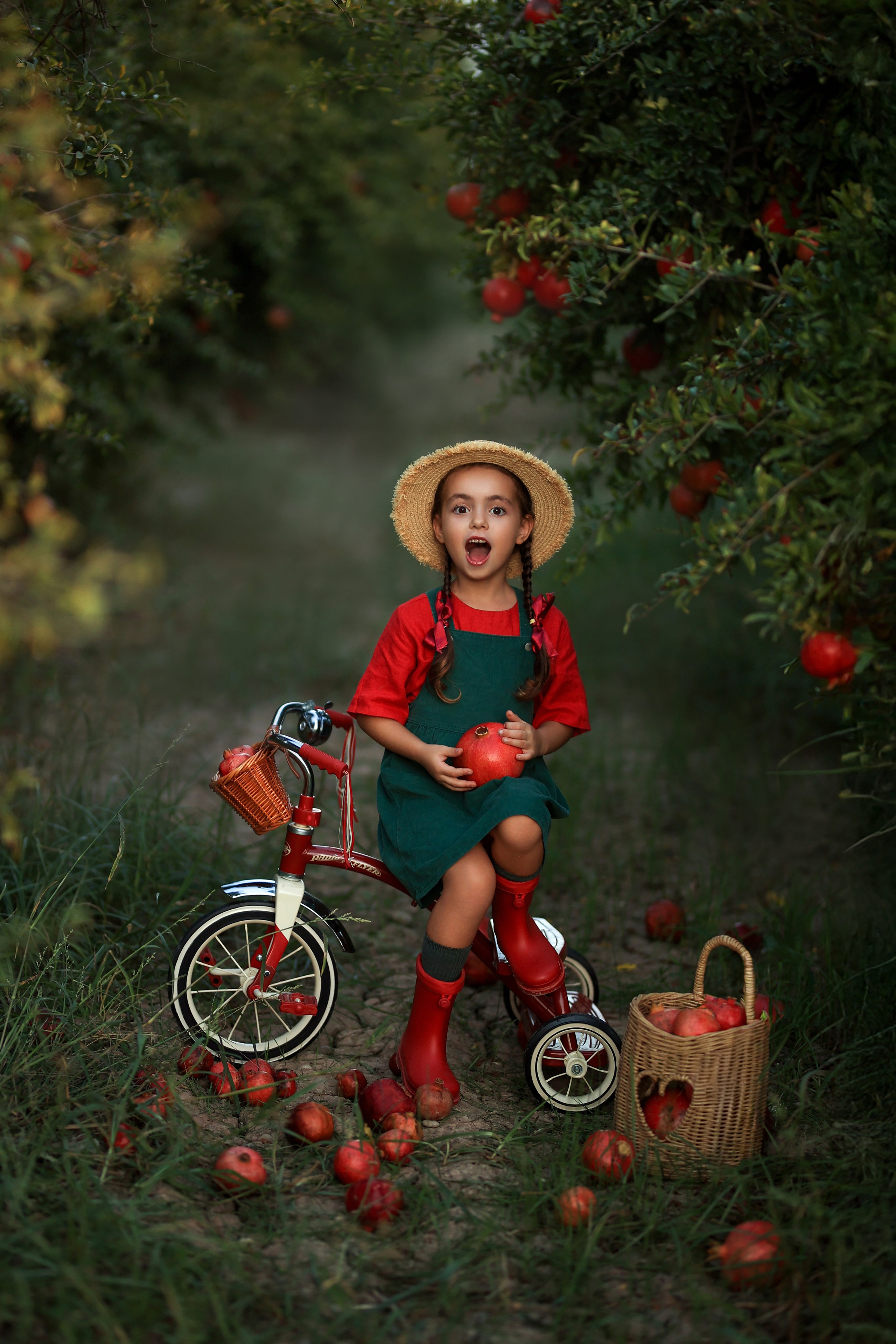 Photoshooting in pomegranate garden