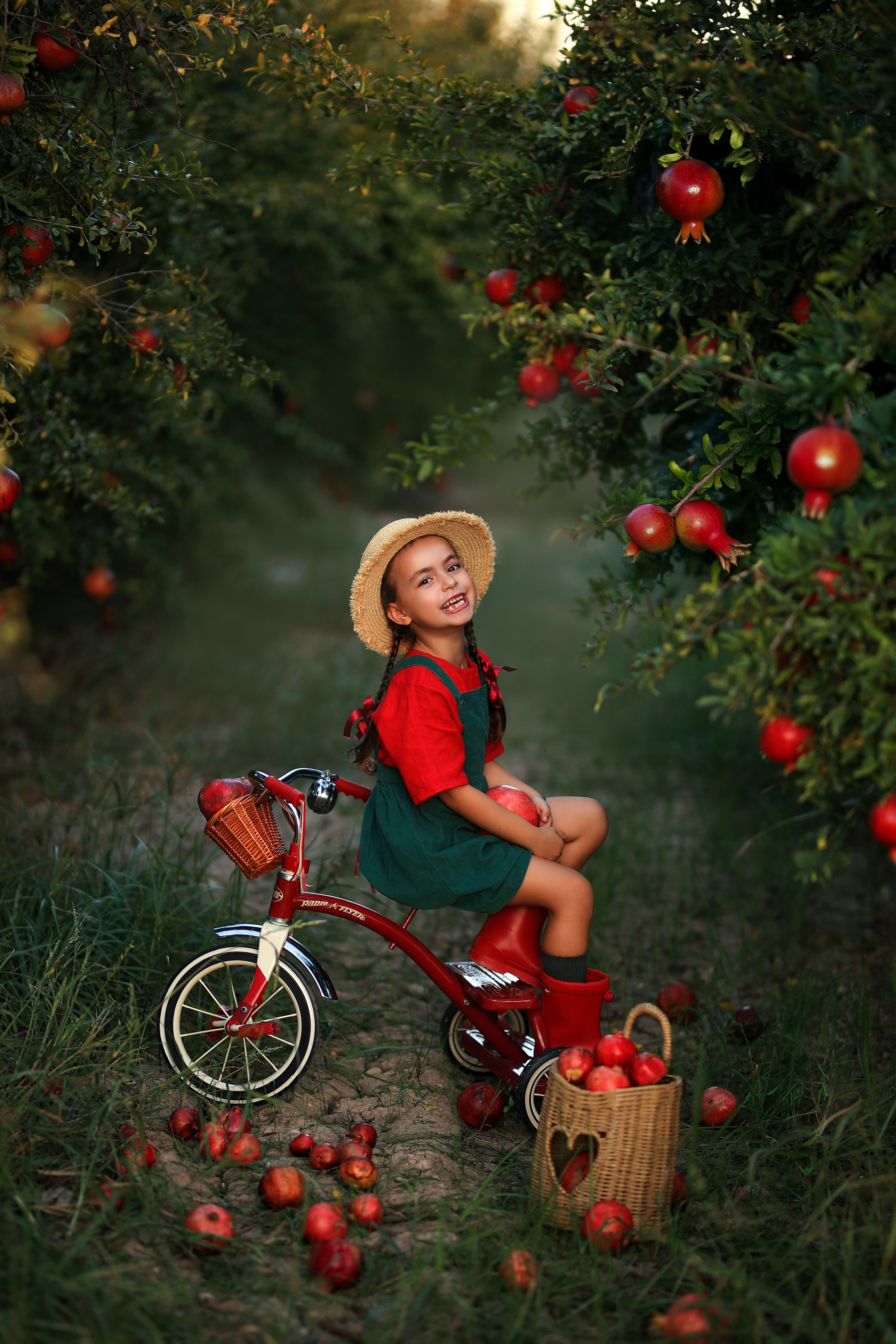 Photoshooting in pomegranate garden