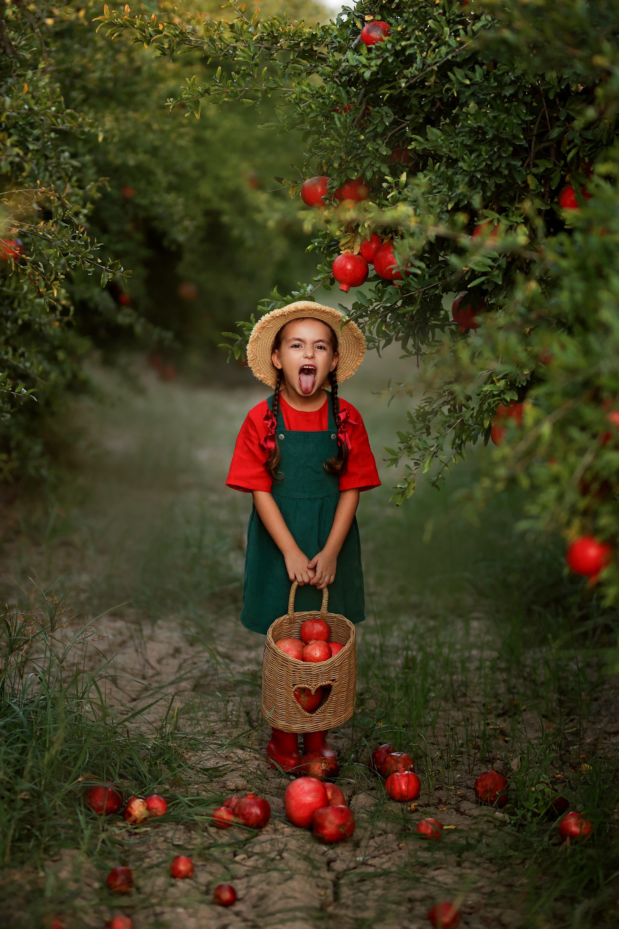 Photoshooting in pomegranate garden