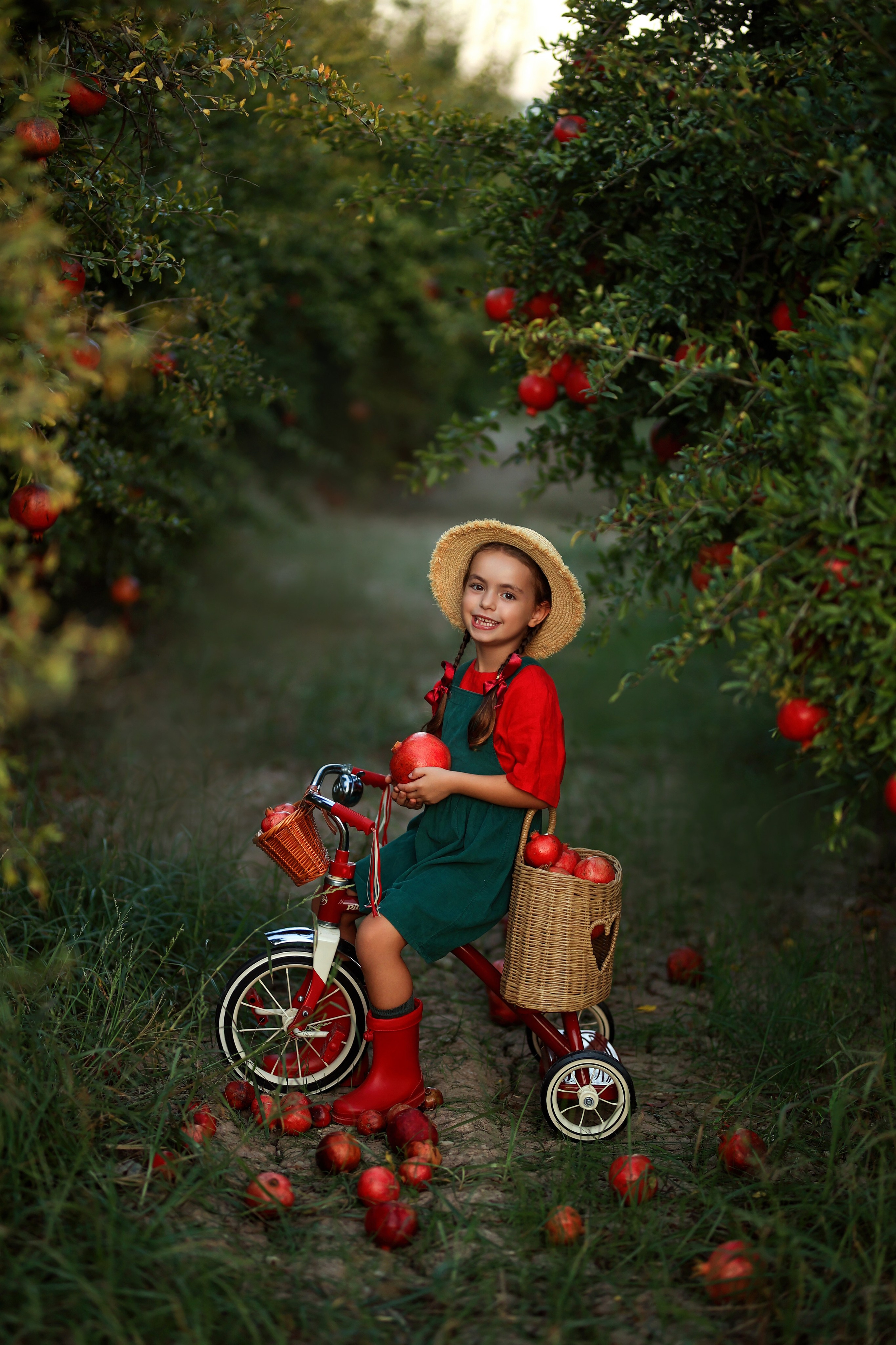 Photoshooting in pomegranate garden