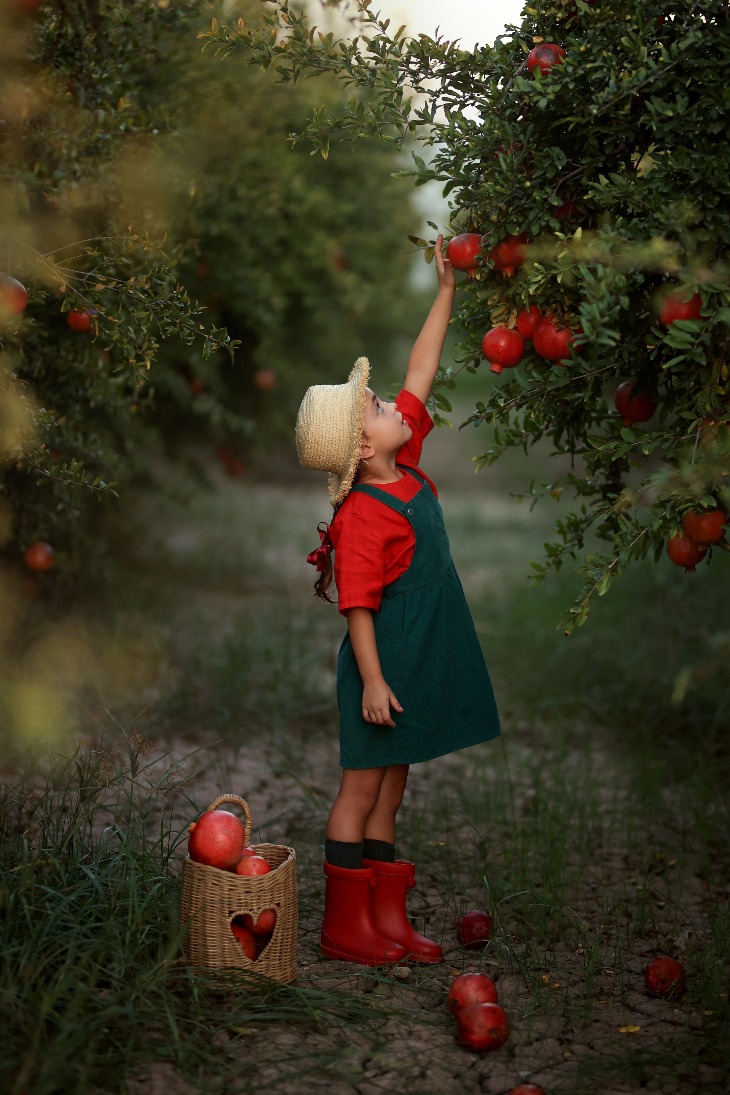 Photoshooting in pomegranate garden