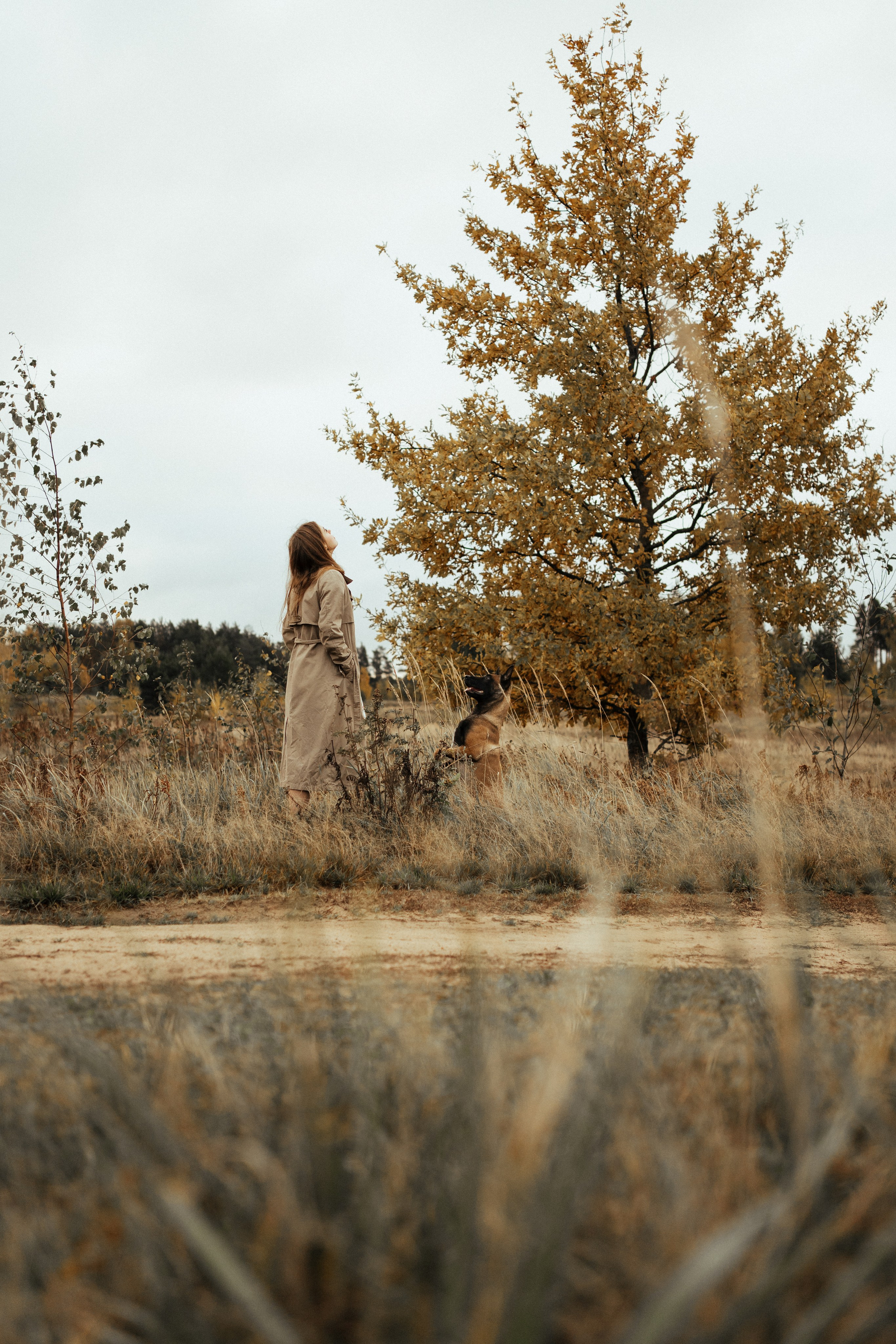 Вика и Хельс. Фотограф-анималист Анастасия Большакова