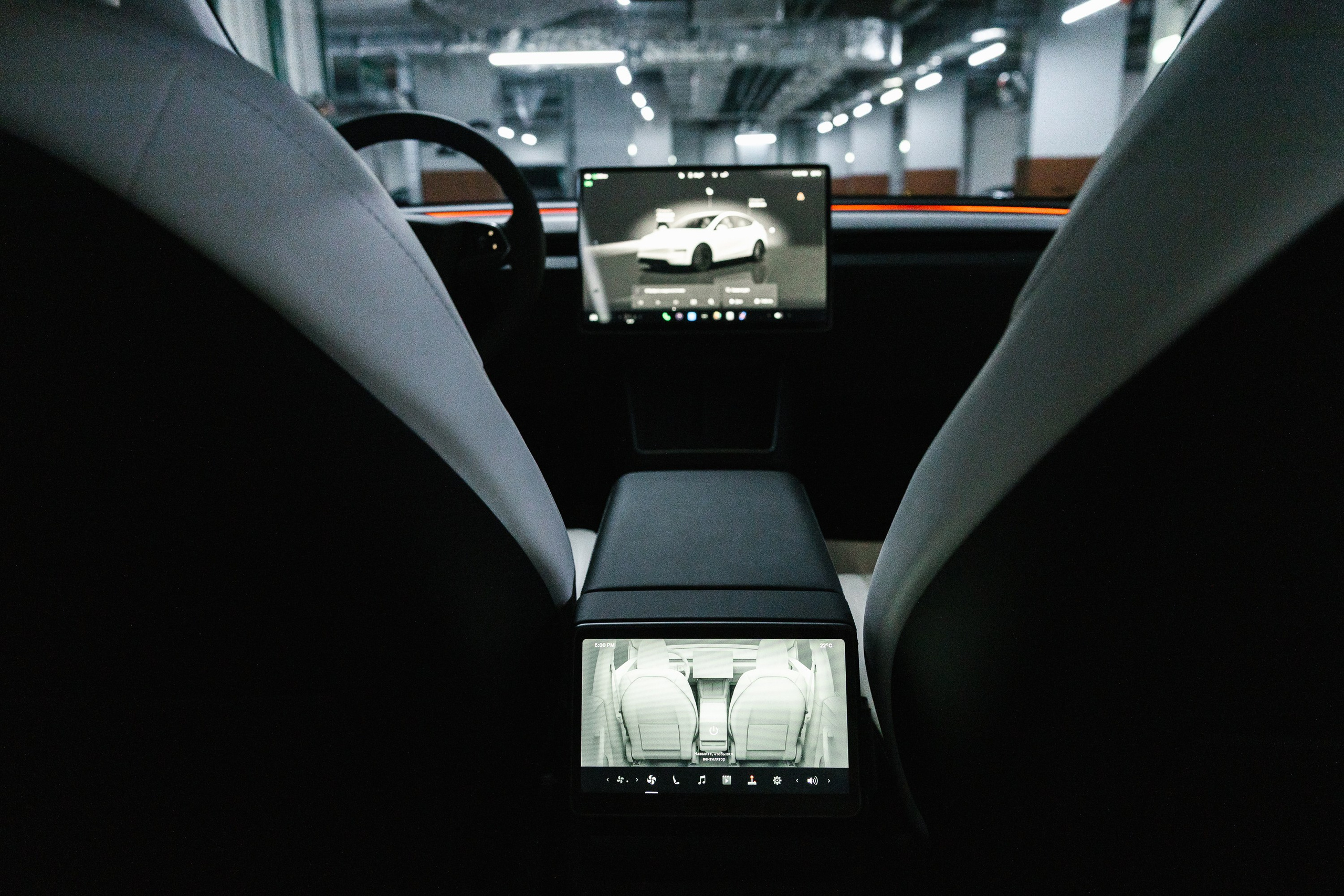 Model Y+. Эстетика Sveta