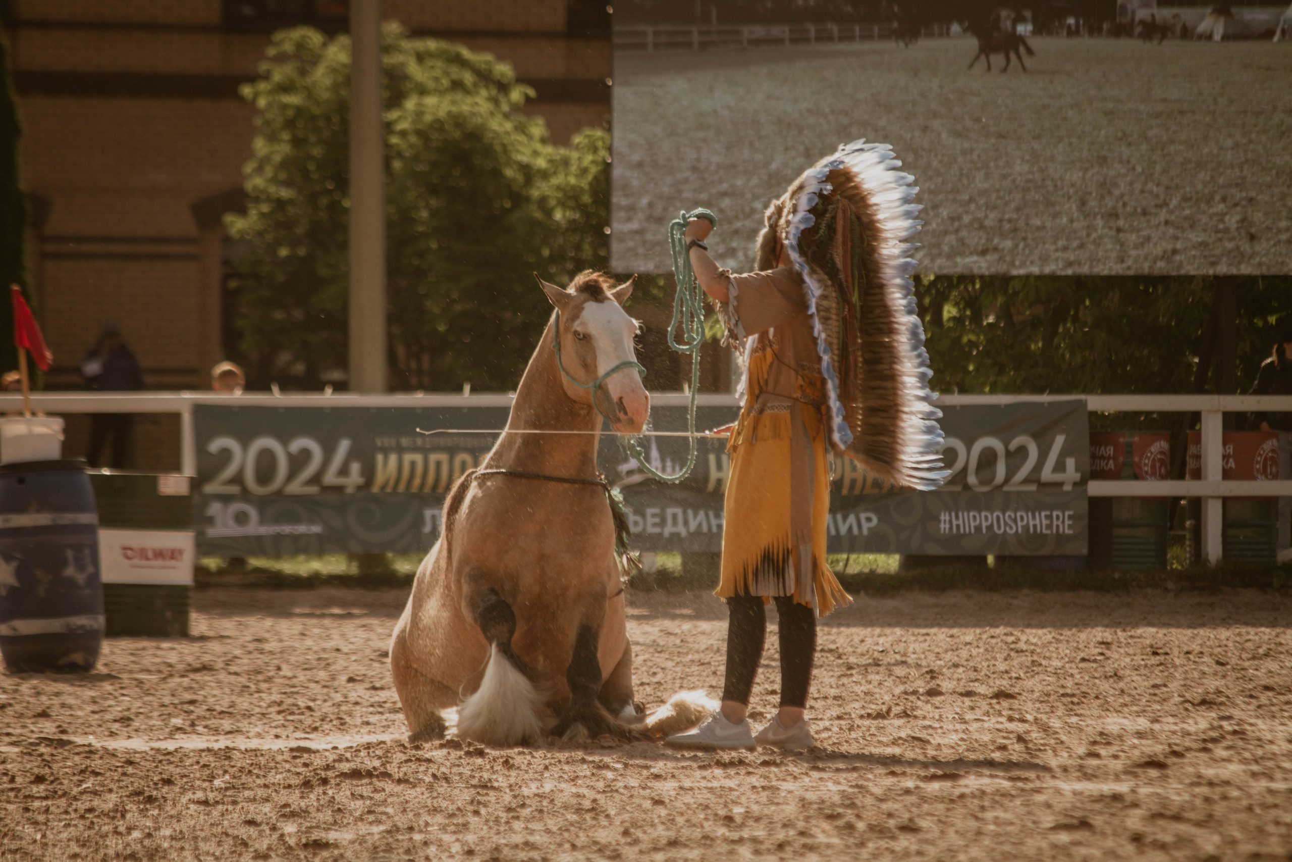 ИППОСФЕРА — Международная конная выставка. Создадим шедевр? Виталина и её фотоискусство
