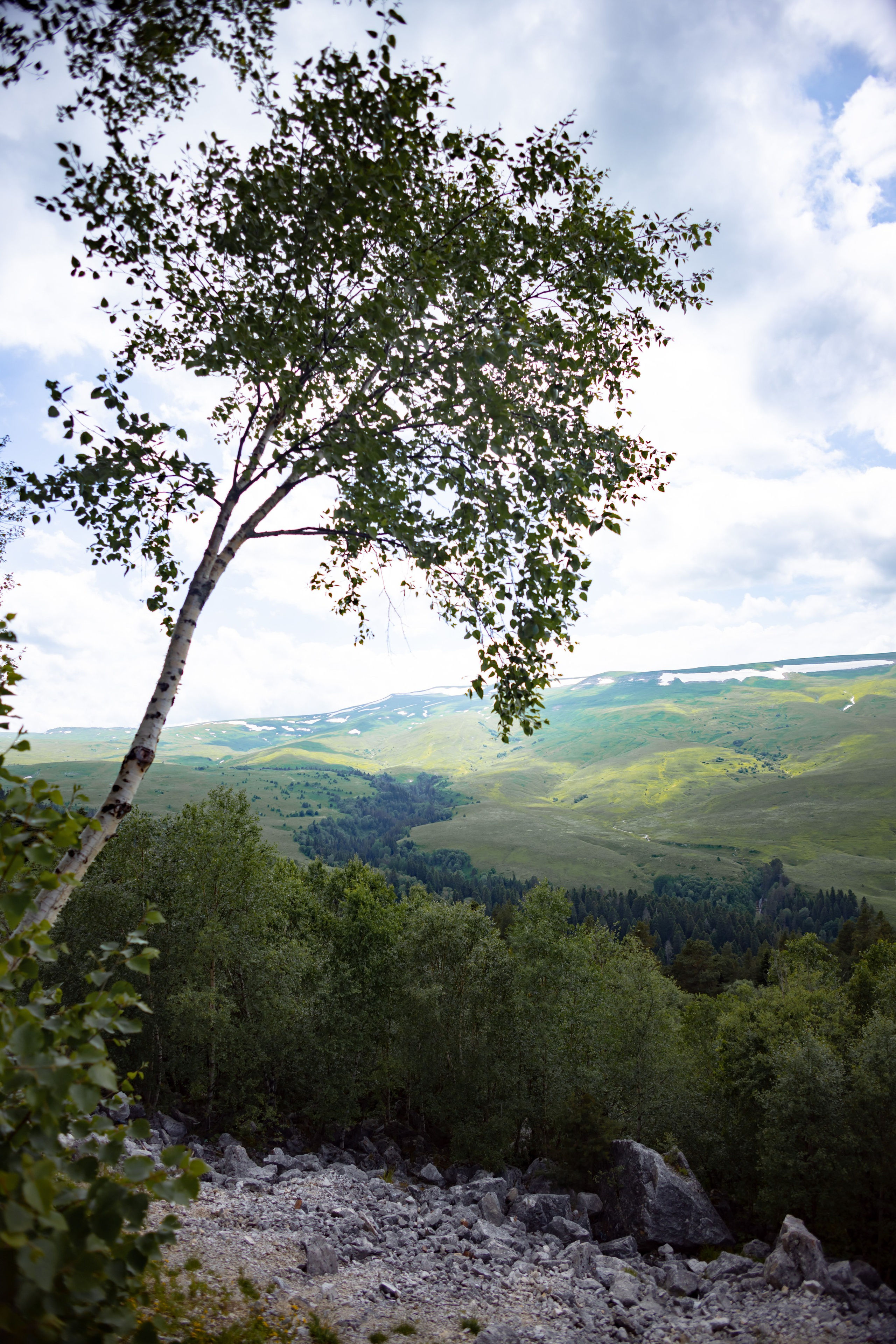 Осень. Профессиональный фотограф и видеооператор