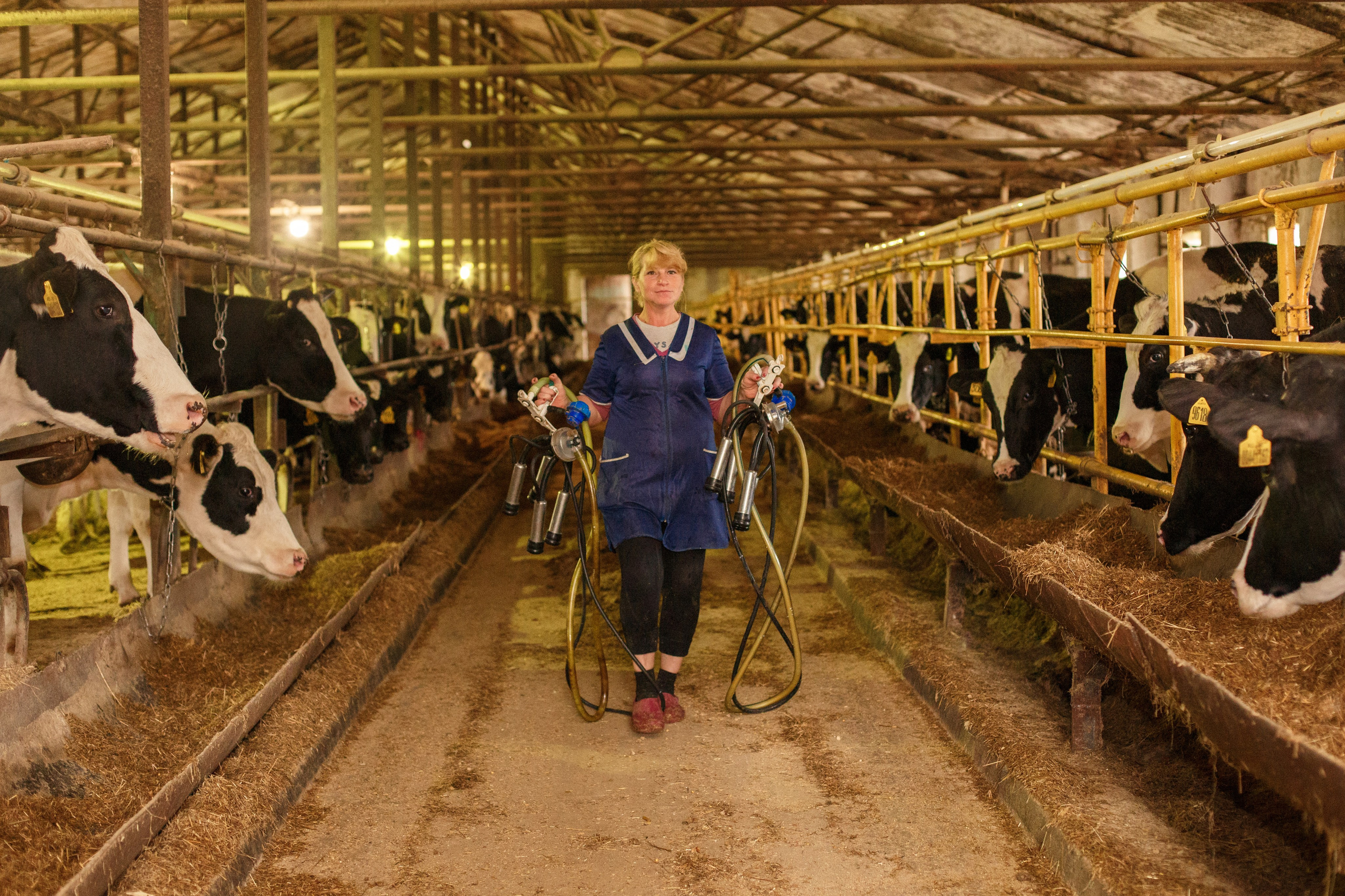 Шатурский Агропромышленный комбинат. Деловая и Бизнес съемка в  Москве Инесса Грушко