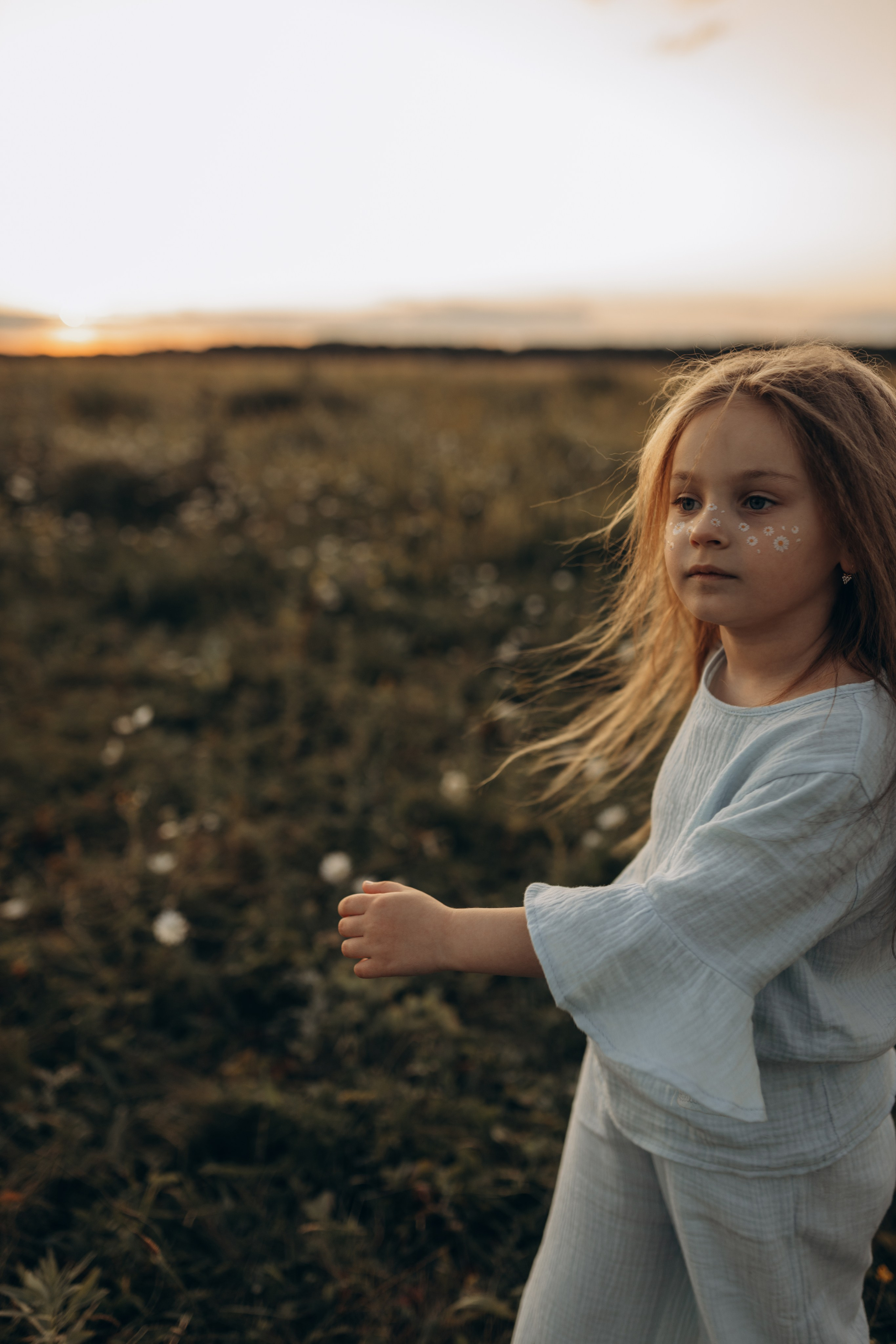 Закат на ромашковом поле. Фотограф в Ставрополе Svetlana Matveeva