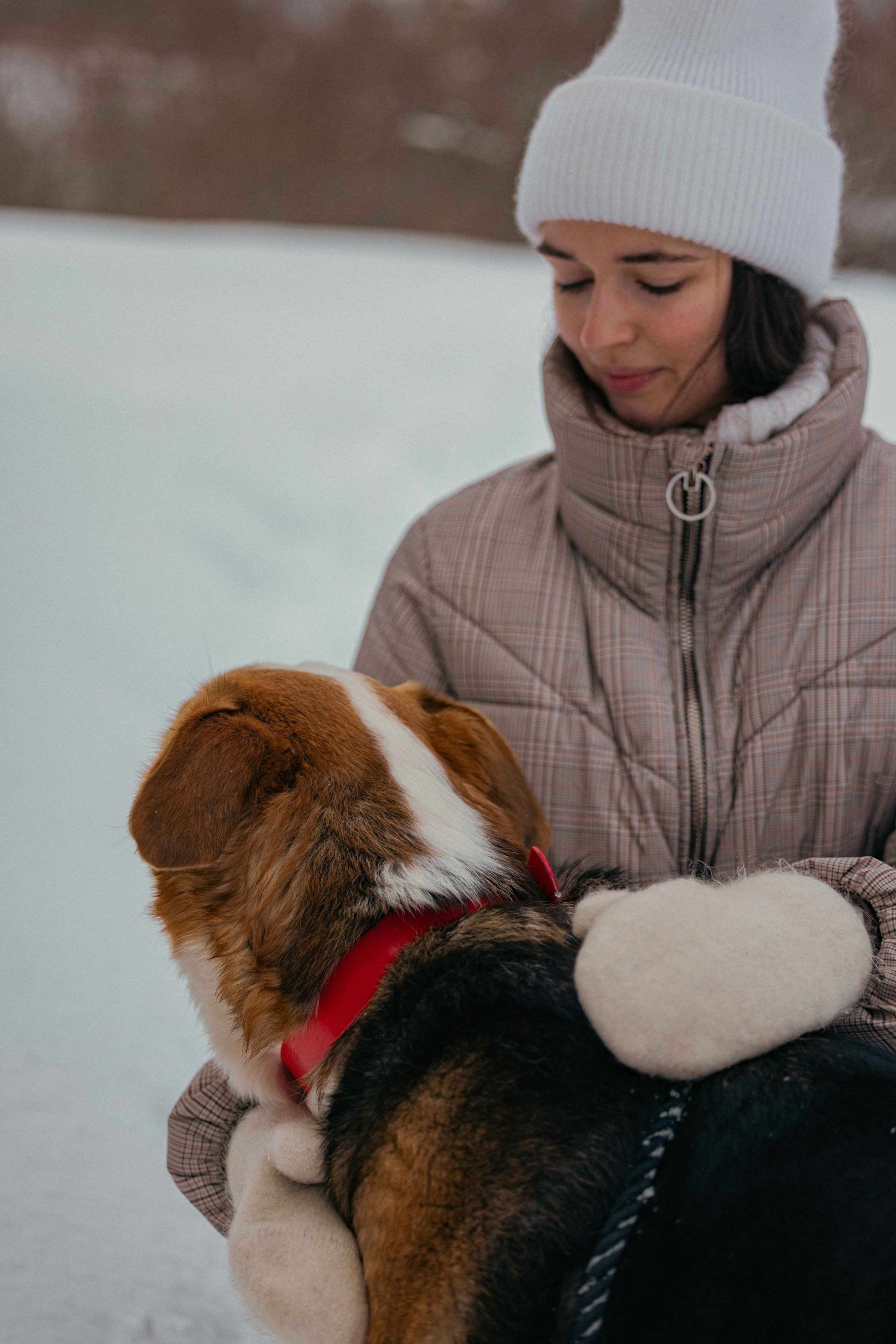 Петя. Фотограф-анималист в Москве Лера Черноног