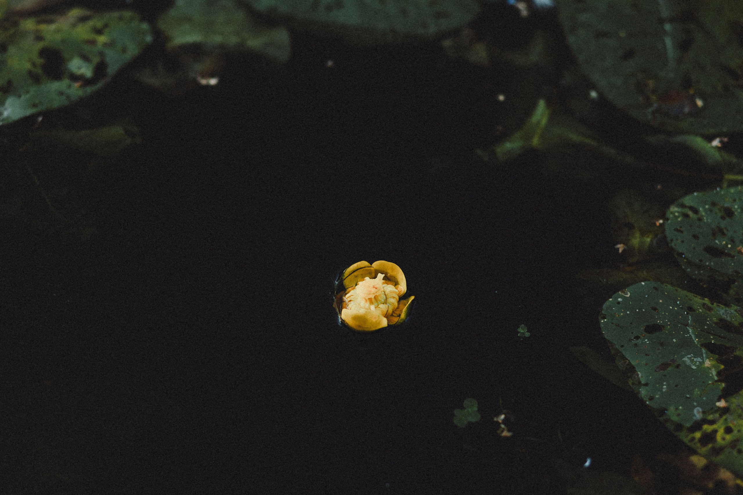 Маша и Джерри