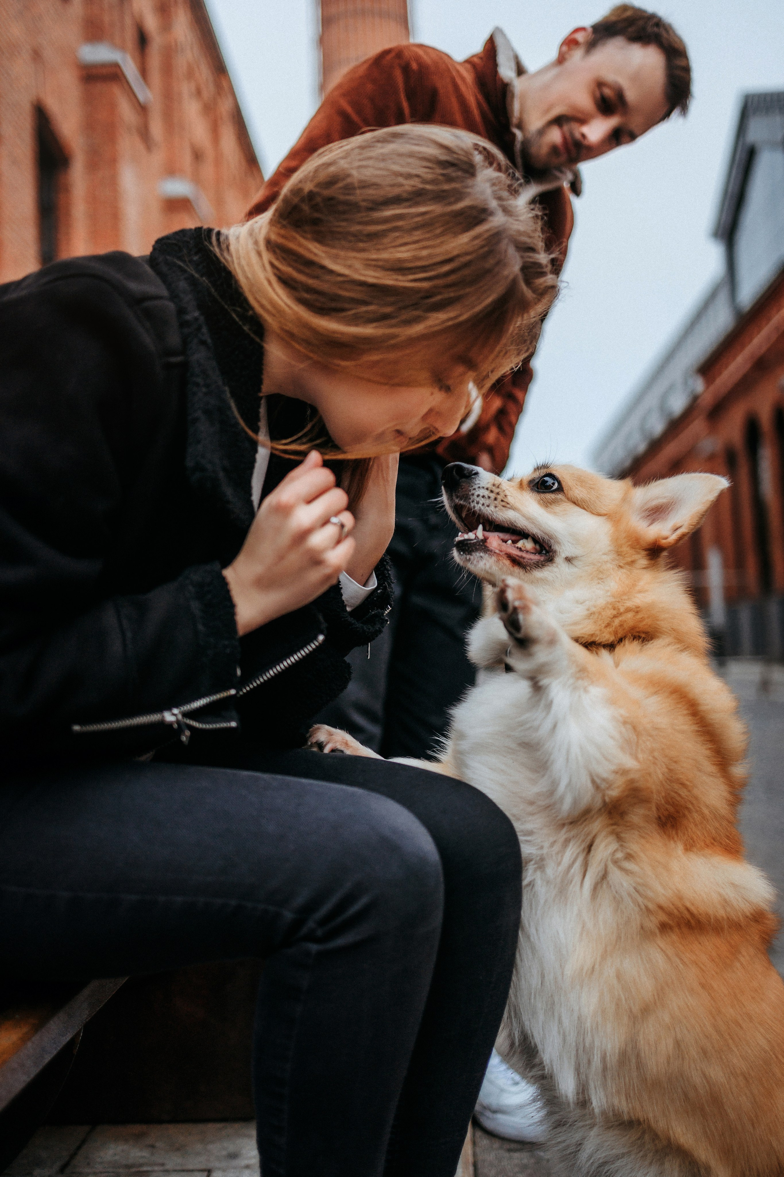Вера, Саша и Муна. Фотограф-анималист Елена Радченко, Москва