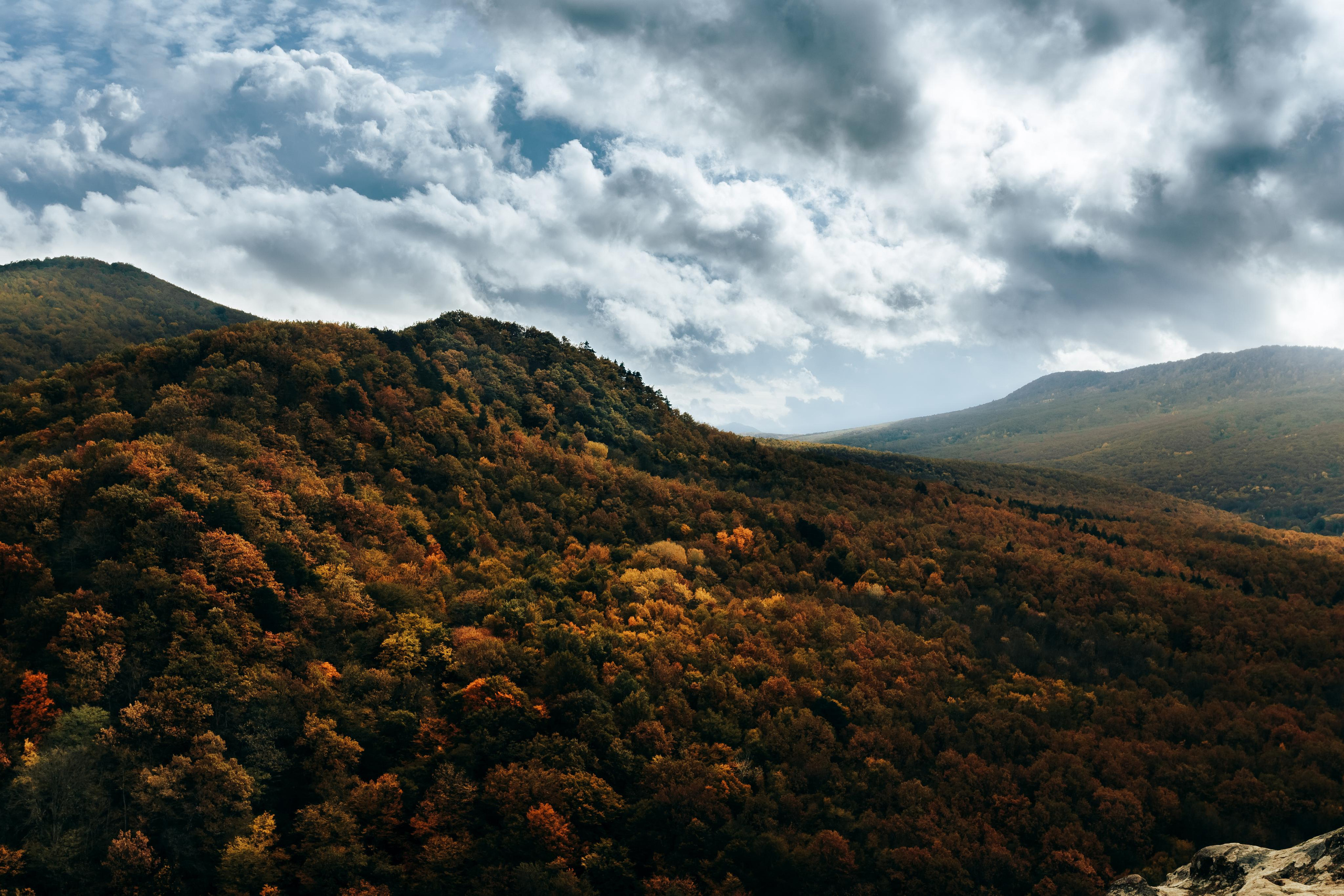 Игорь и Алена. Свадебный фотограф в Краснодаре Николай Крауз