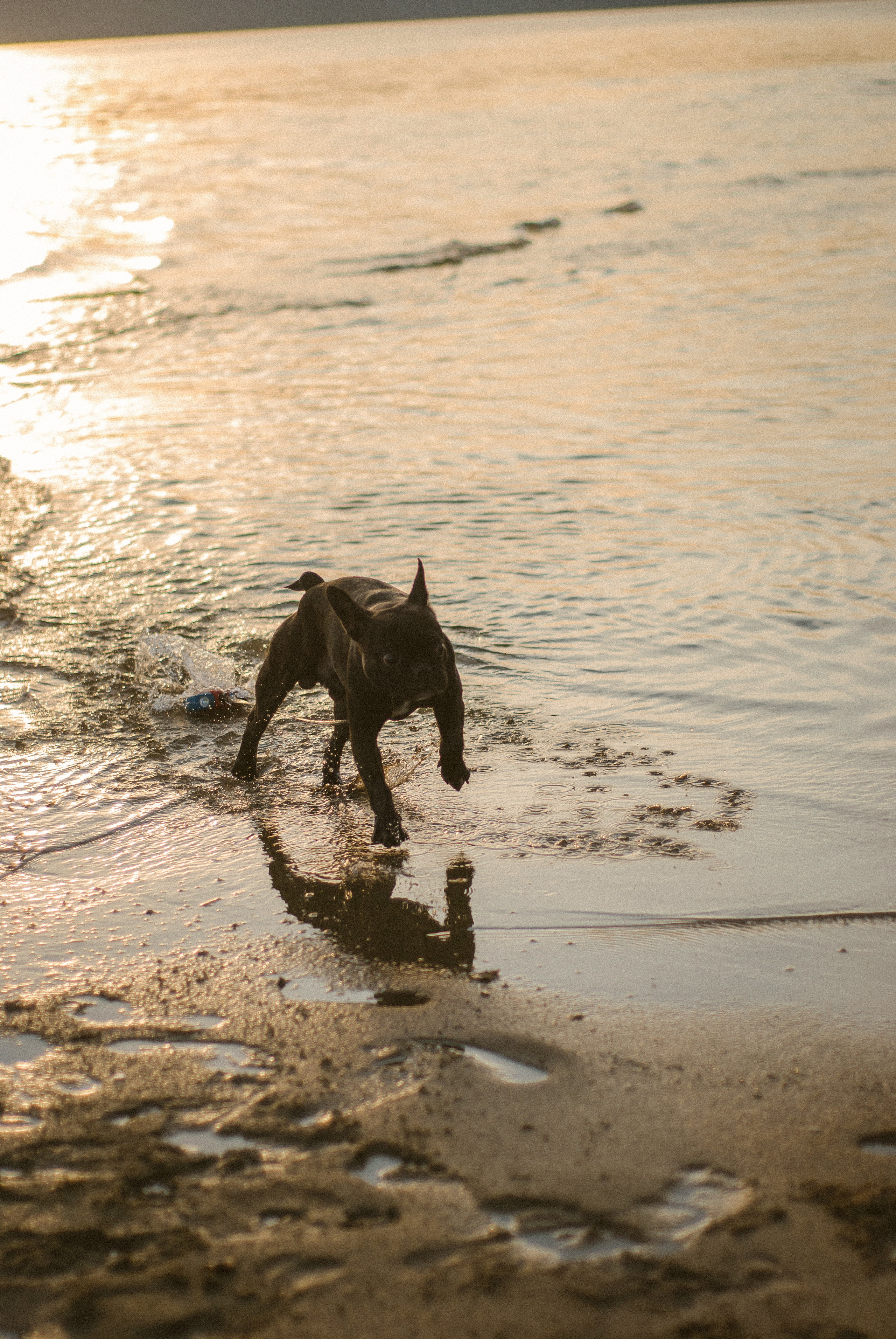 Таня и Дима. Ксения Чинчикеева. Фотограф Иркутск|Улан-Удэ