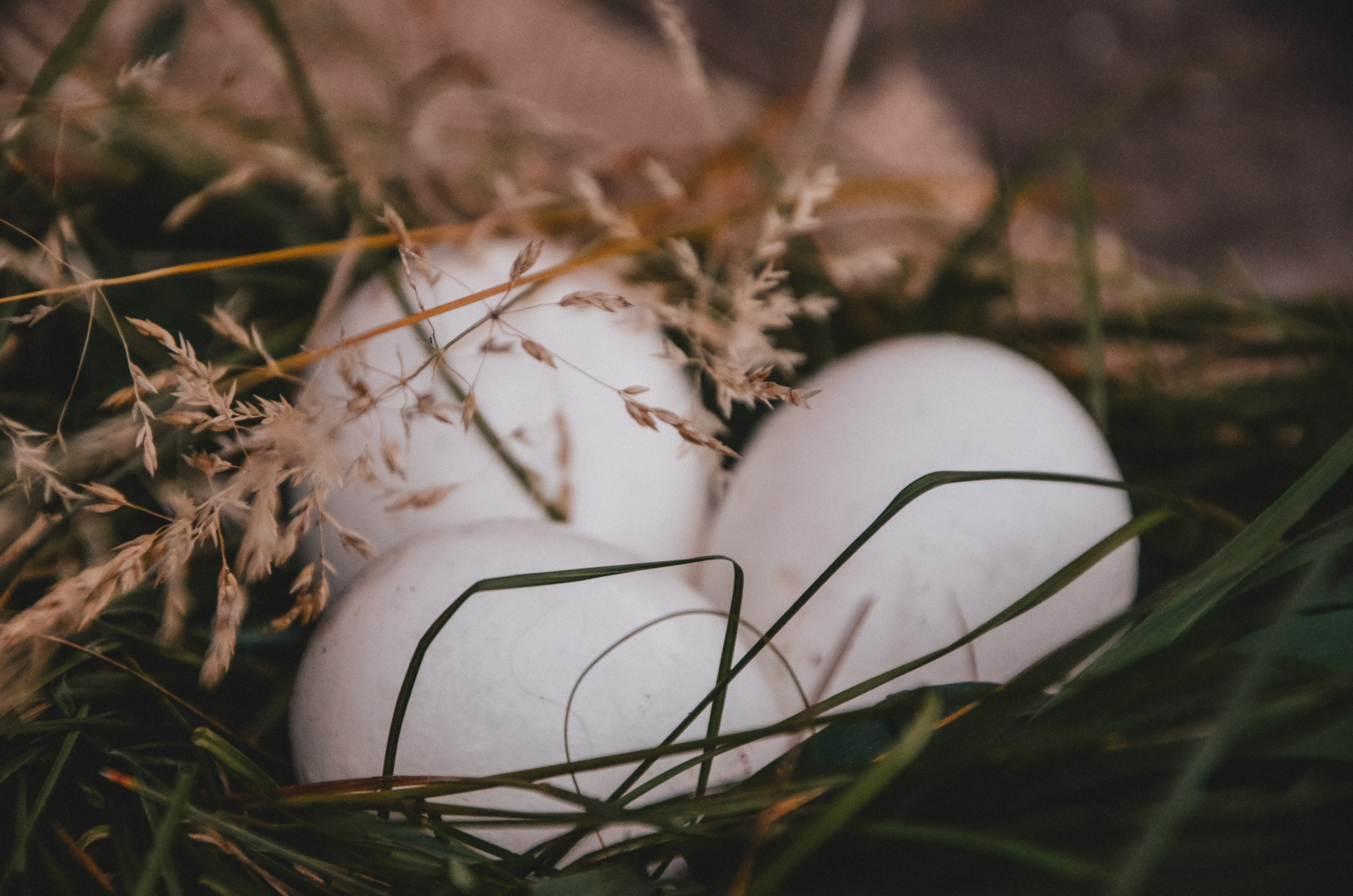 Ксения Чинчикеева. Фотограф Иркутск|Улан-Удэ