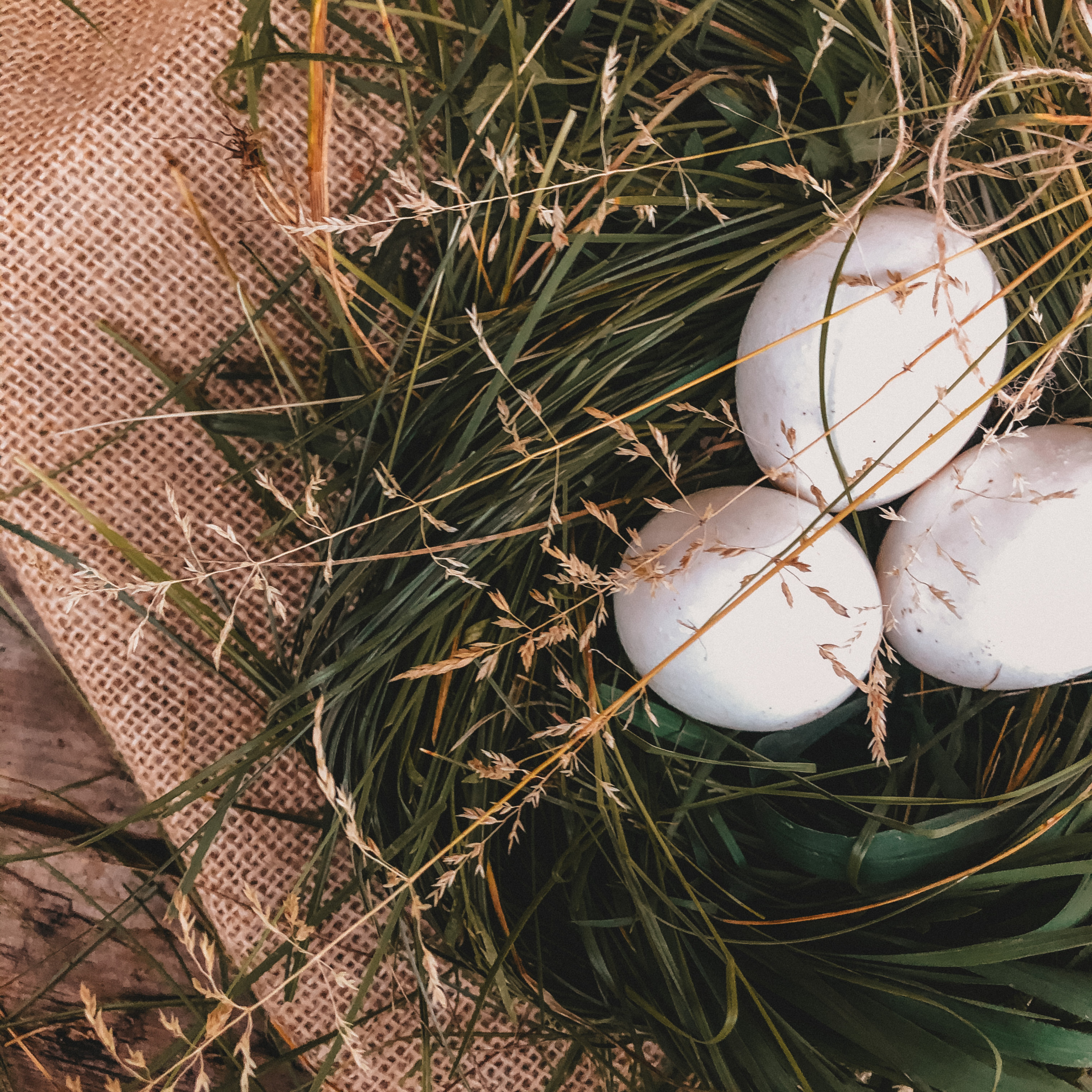 Ксения Чинчикеева. Фотограф Иркутск|Улан-Удэ