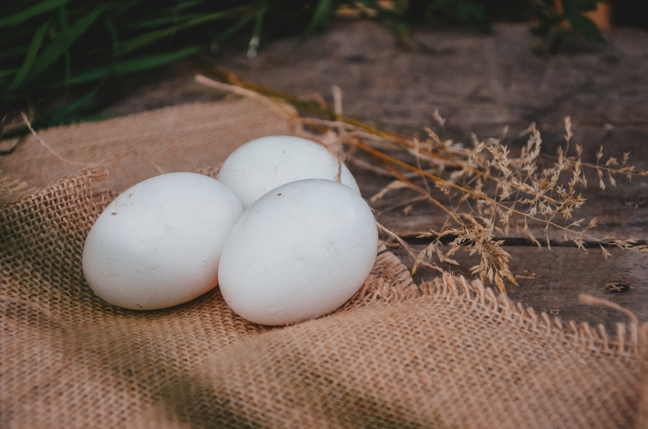 Ксения Чинчикеева. Фотограф Иркутск|Улан-Удэ