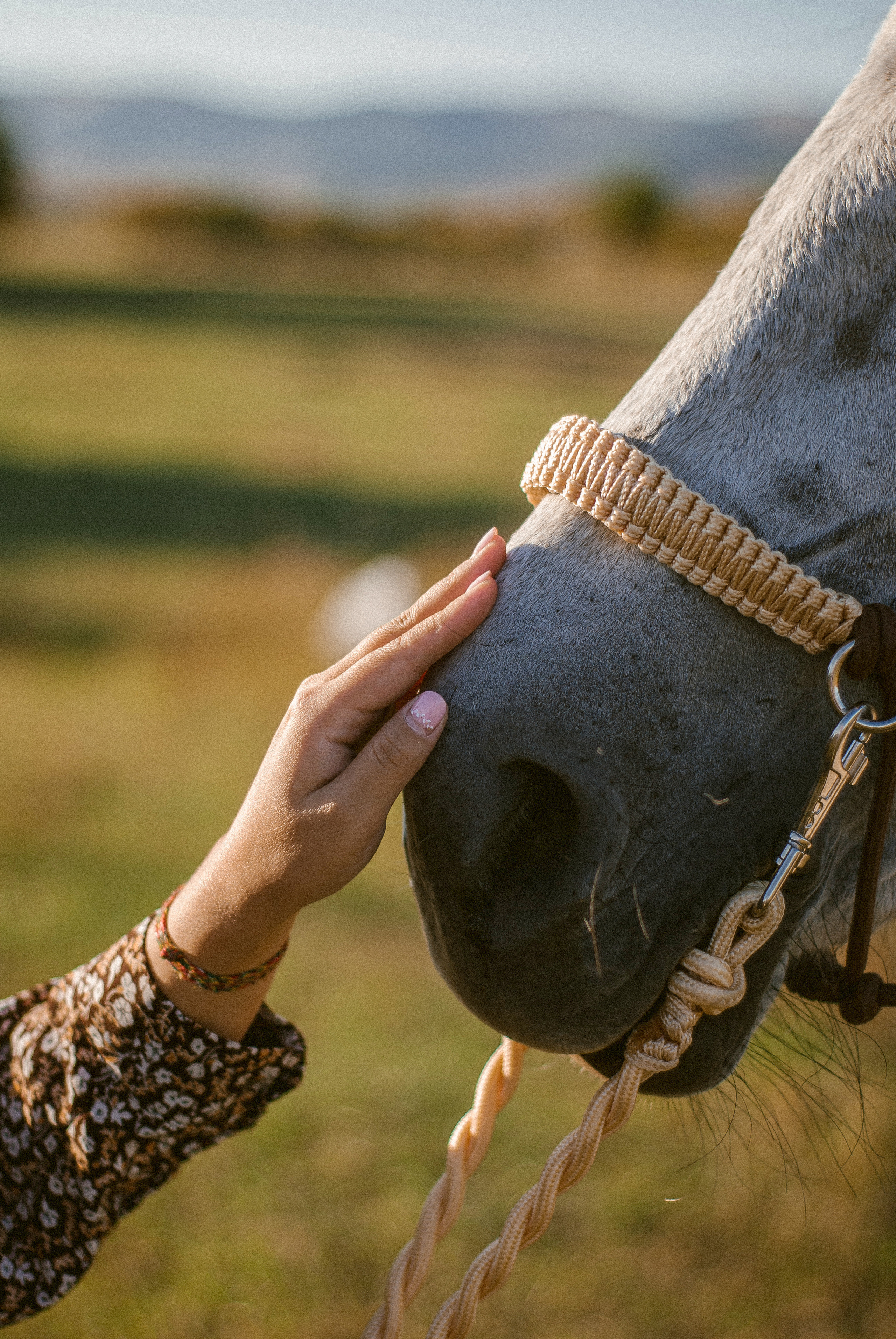 Ксения Чинчикеева. Фотограф Иркутск|Улан-Удэ