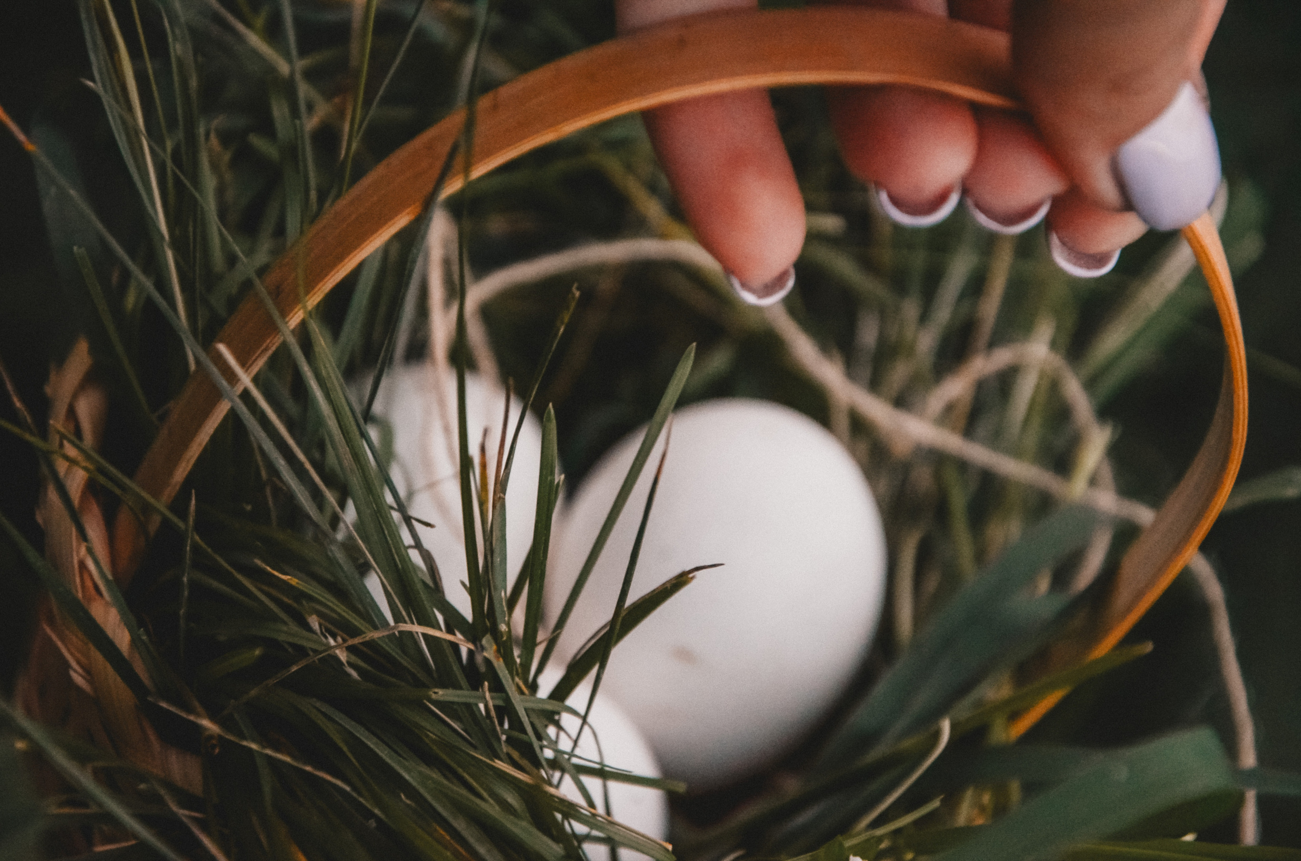 Ксения Чинчикеева. Фотограф Иркутск|Улан-Удэ