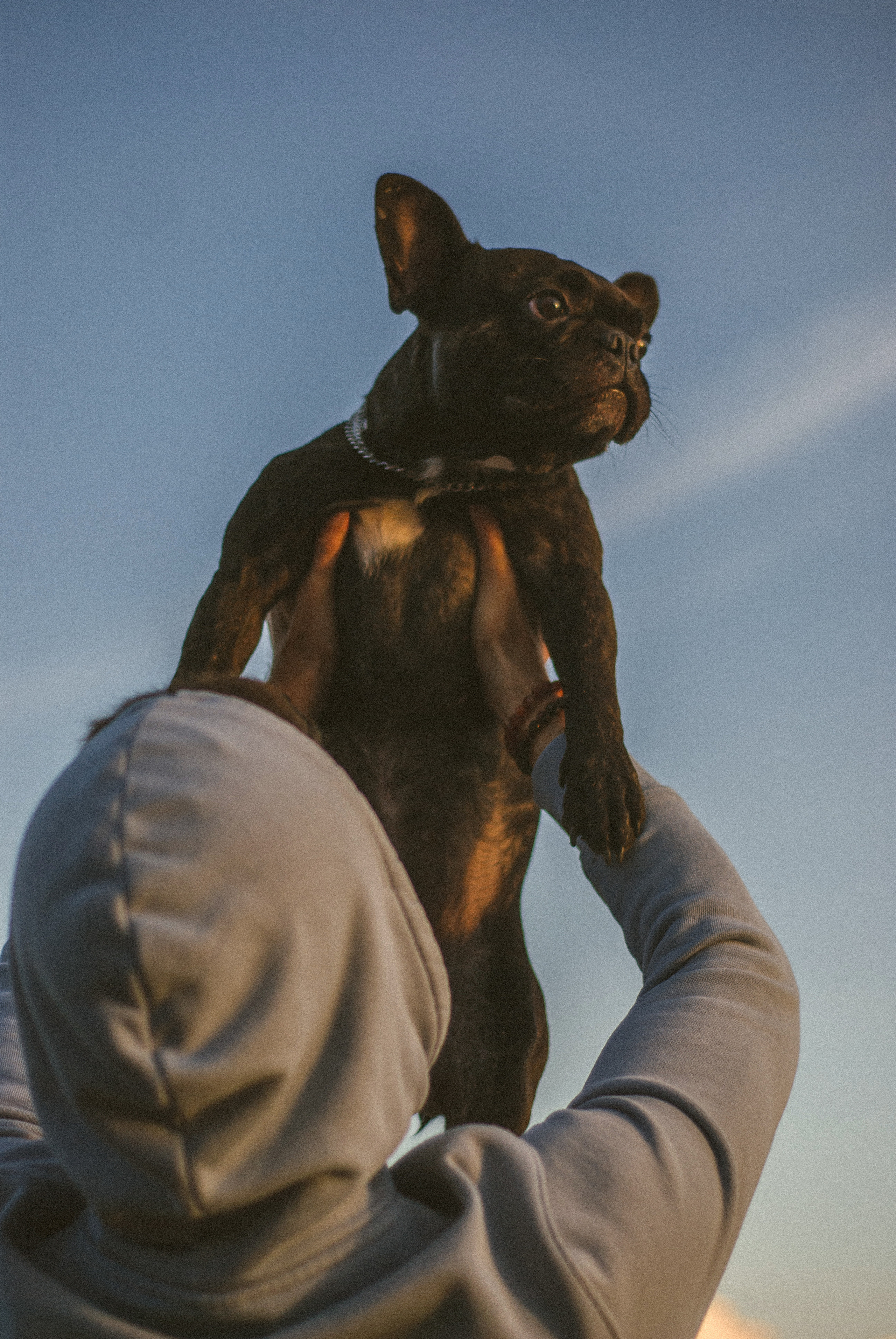 Таня и Дима. Ксения Чинчикеева. Фотограф Иркутск|Улан-Удэ