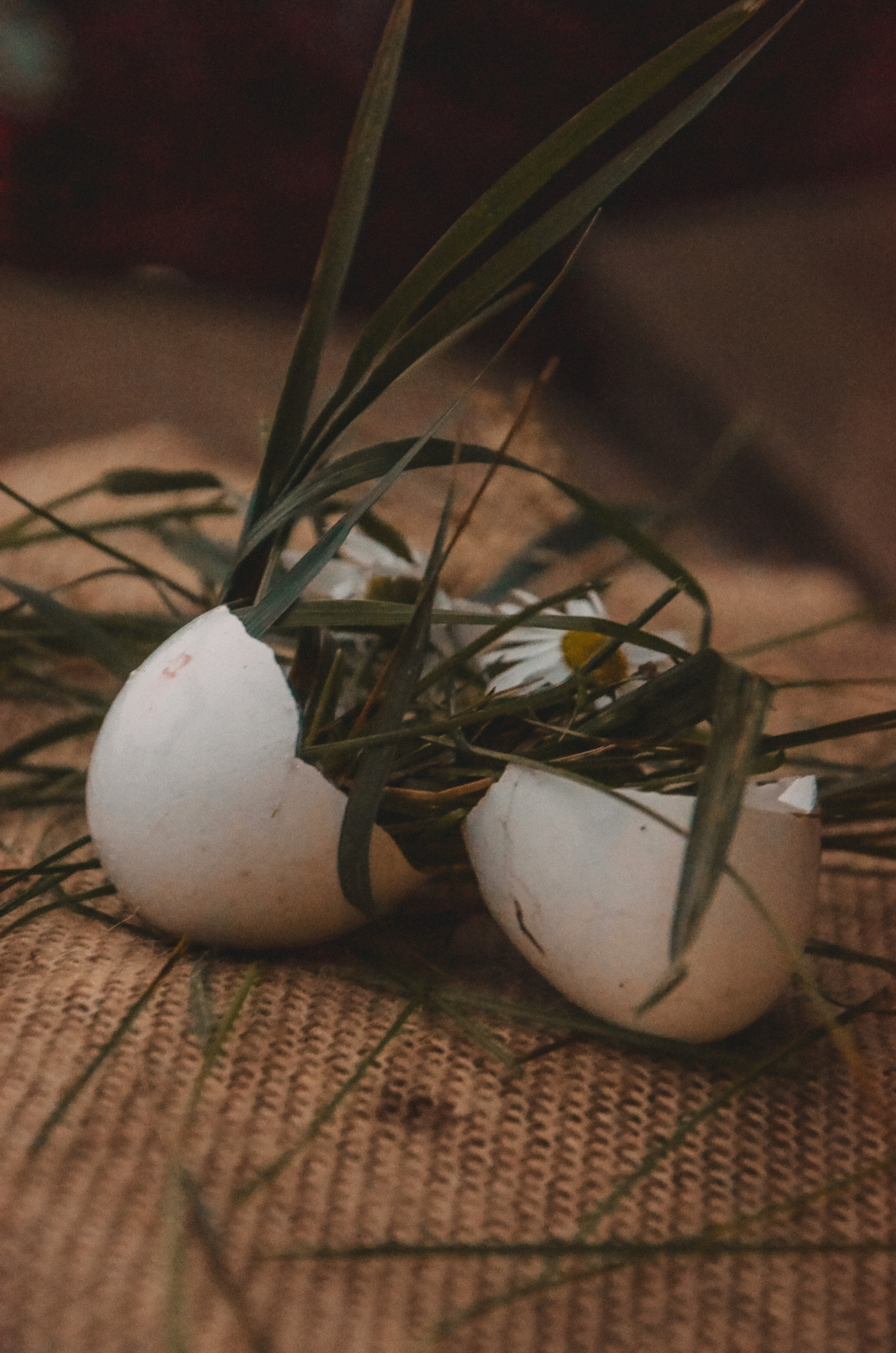 Ксения Чинчикеева. Фотограф Иркутск|Улан-Удэ