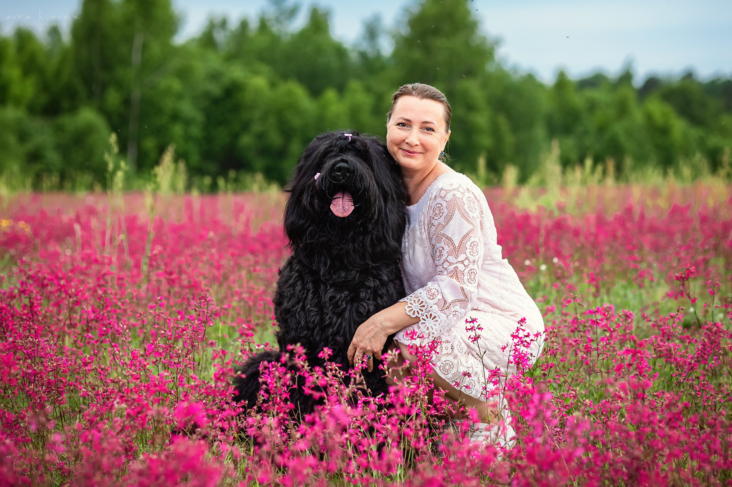 Смолка клейкая. Фотограф анималист Аня Ливанова | Рыбинск