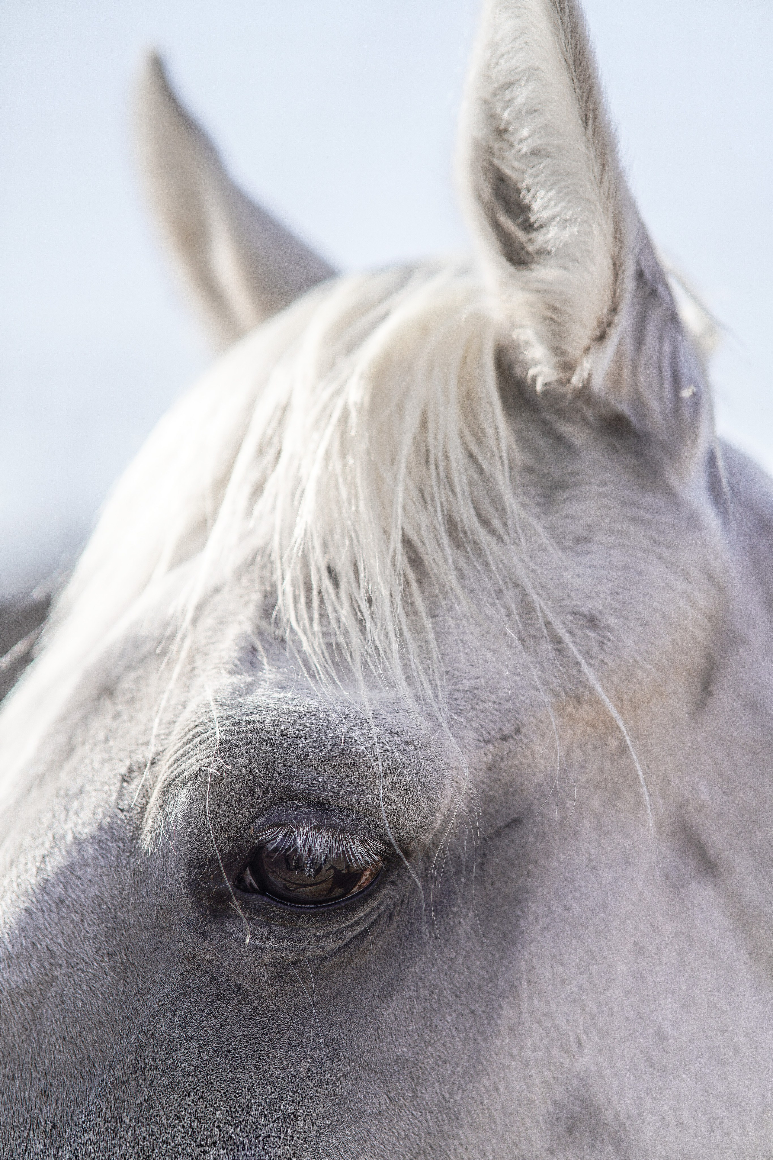 Каппадокия / Фото-тур
