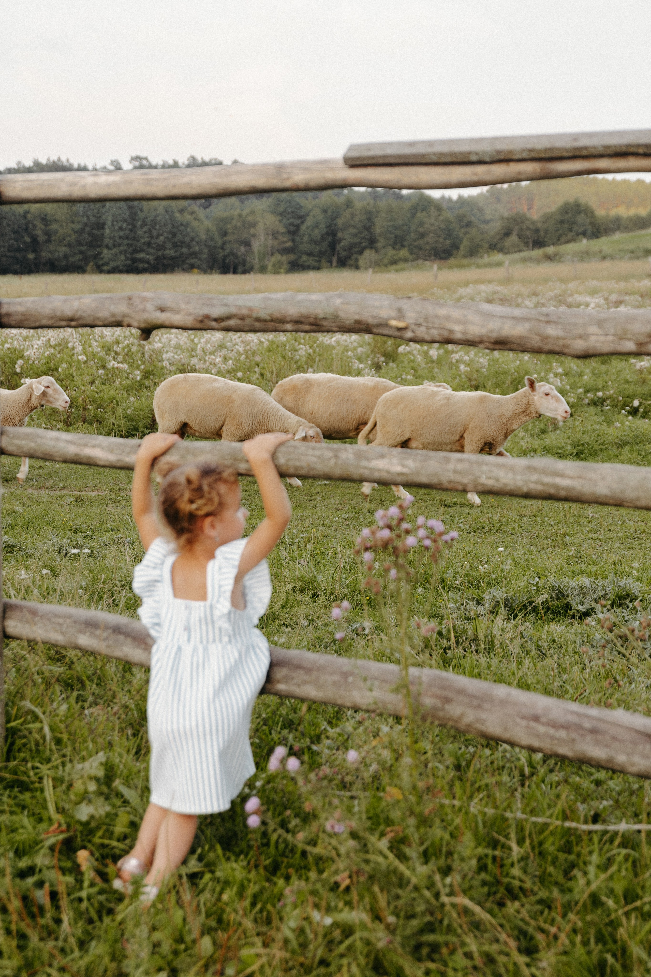 Олечка, Мелоди и Дилан. Семейный фотограф Земскова Евгения