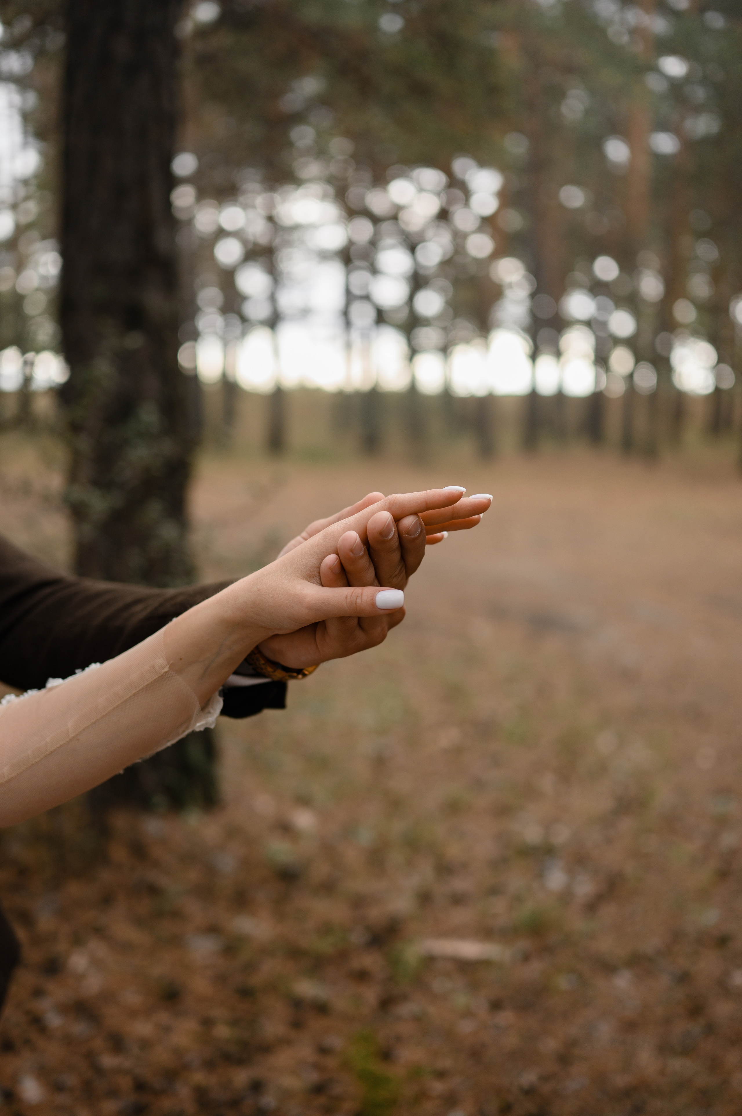 Съемка свадеб. Свадебный и Семейный фотограф в Абакане, Красноярске