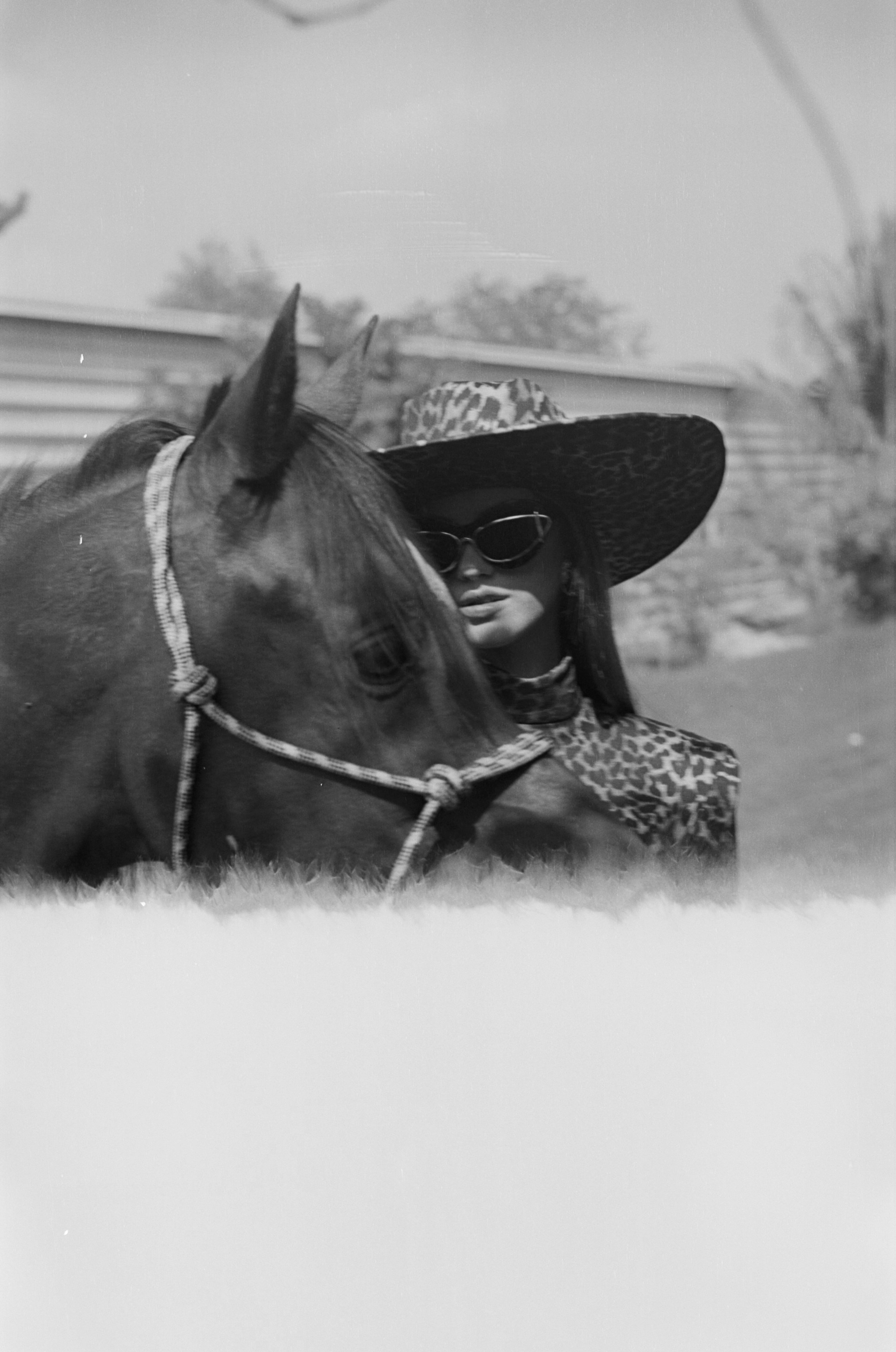 NUR Dubai. Film campaign. Elizaveta Filchenko. Fashion-photographer and director