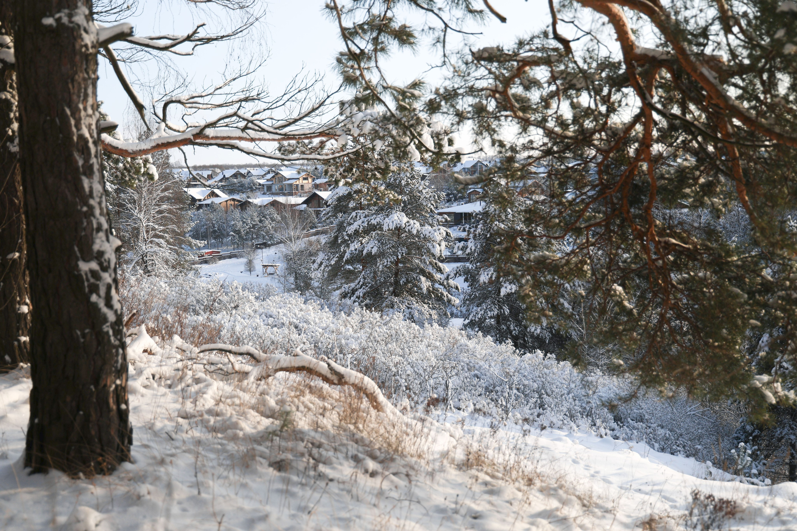 Рождествено Зима 2026. Фотограф Максим Татаринов