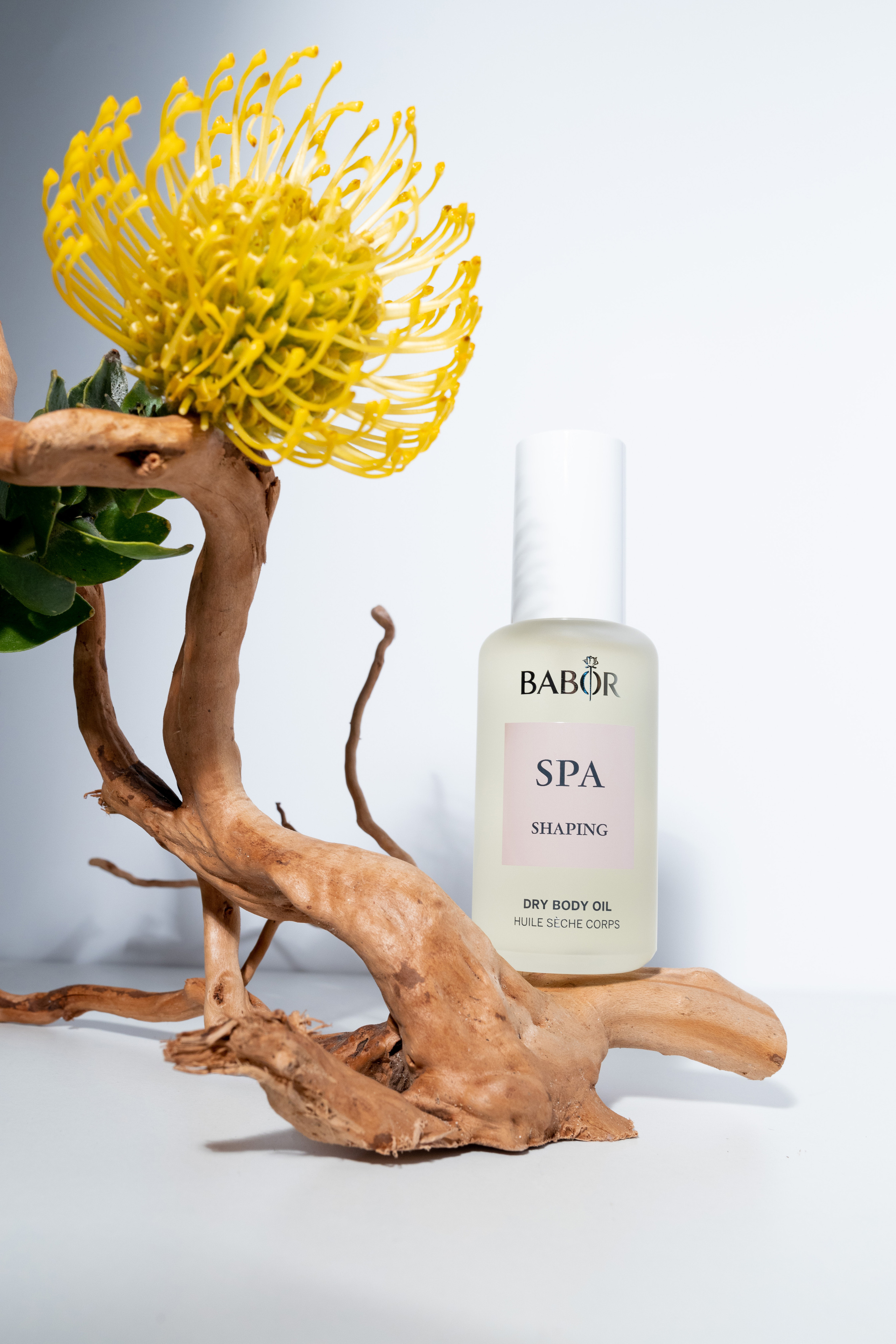 PrоДвижение. Фотограф в Москве Нелли Келли