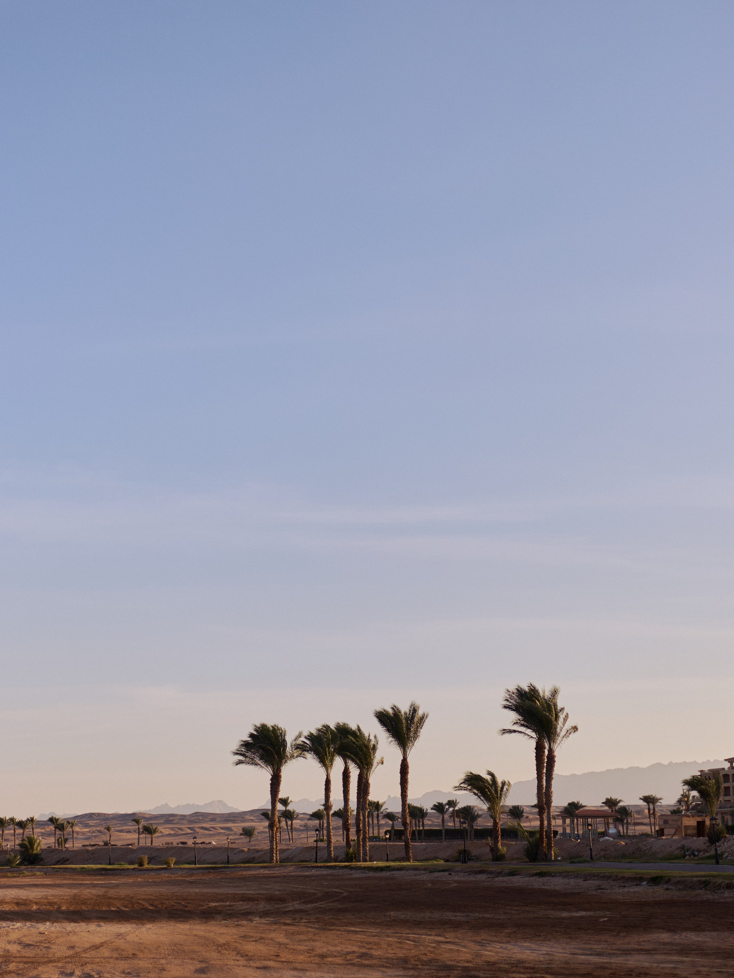 Другое 3. Jorgis Talè — photographer, kind person, teacher of arts and other mag