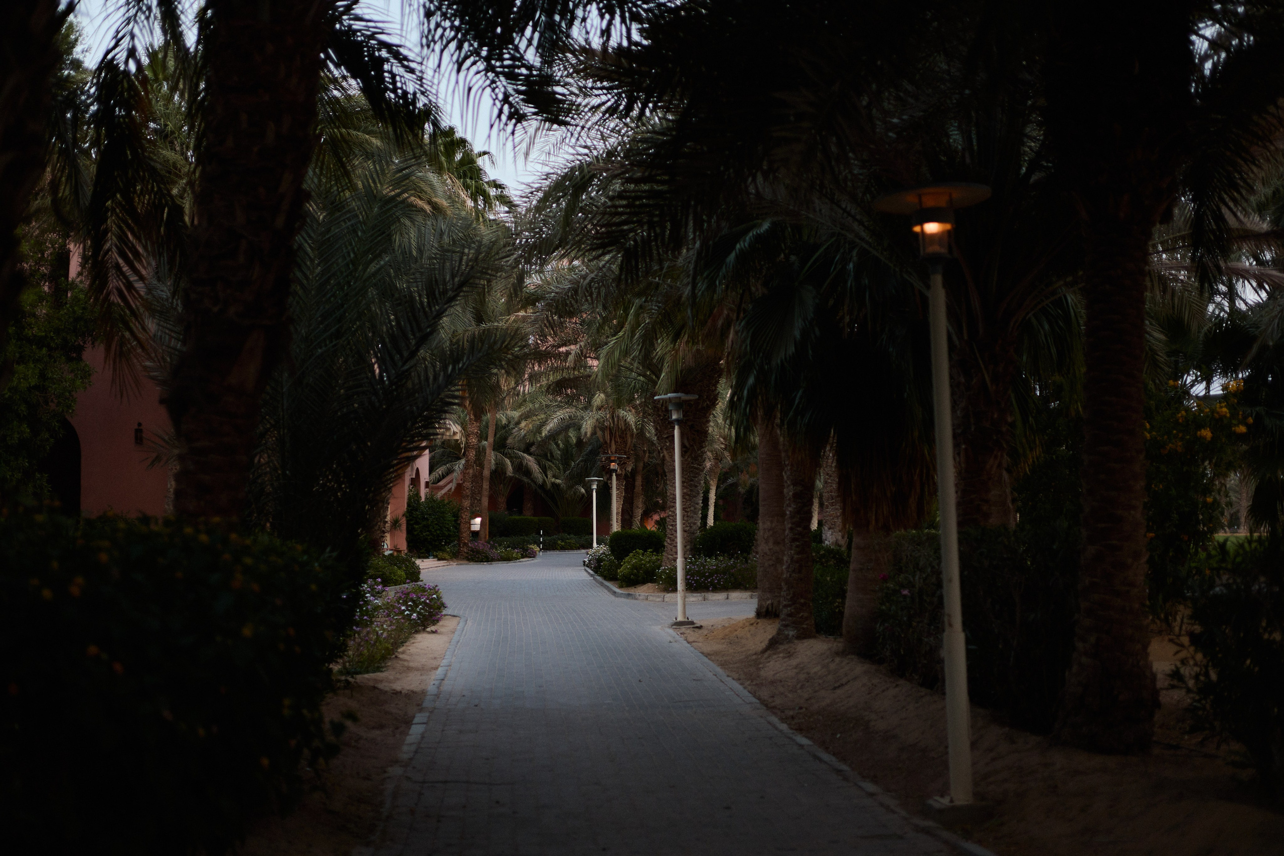 Улица горизонтальная. Jorgis — фотограф в Хургаде / обучение фотографии