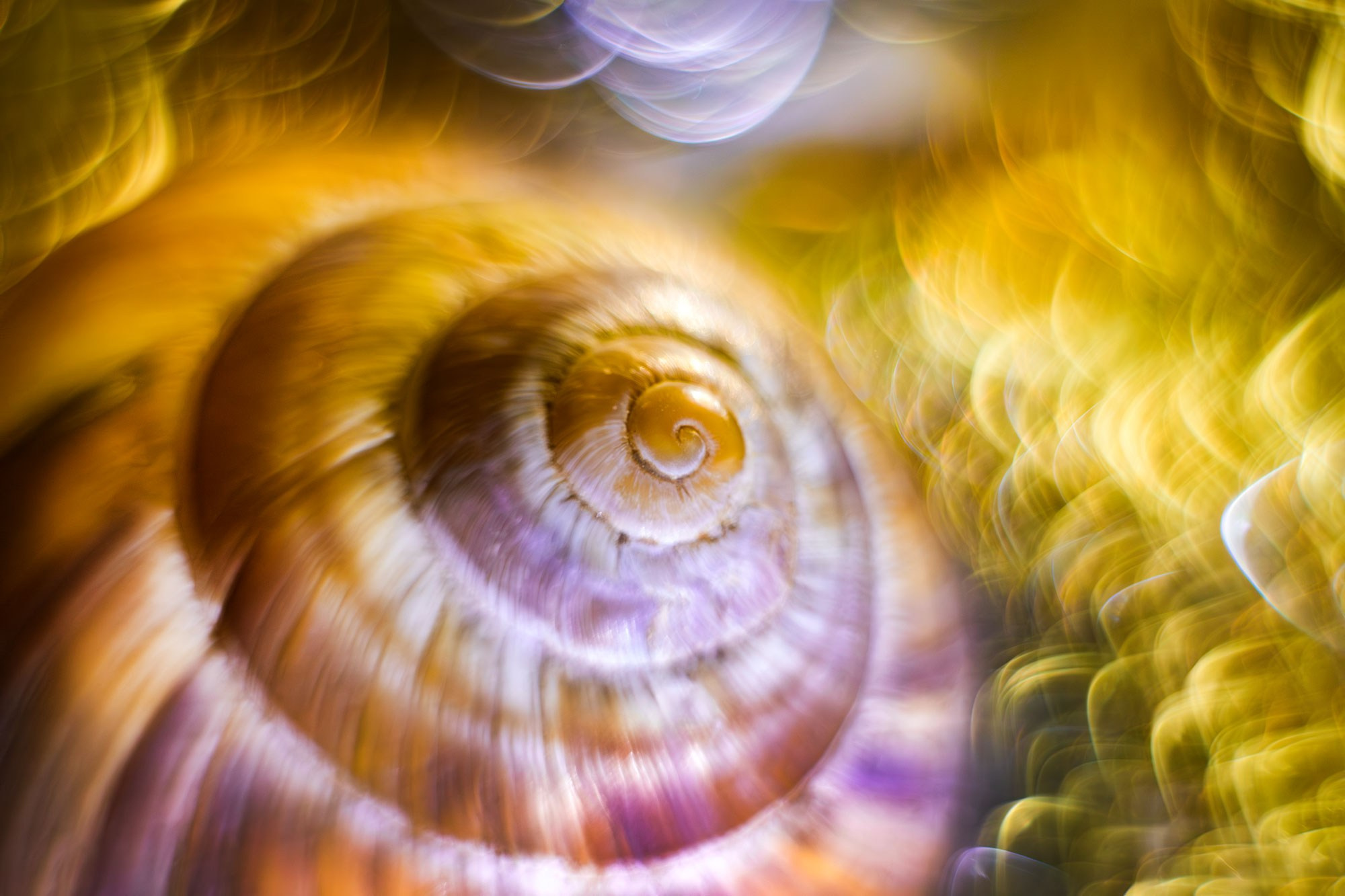 фотограф в Геленджике, фотограф Геленджик