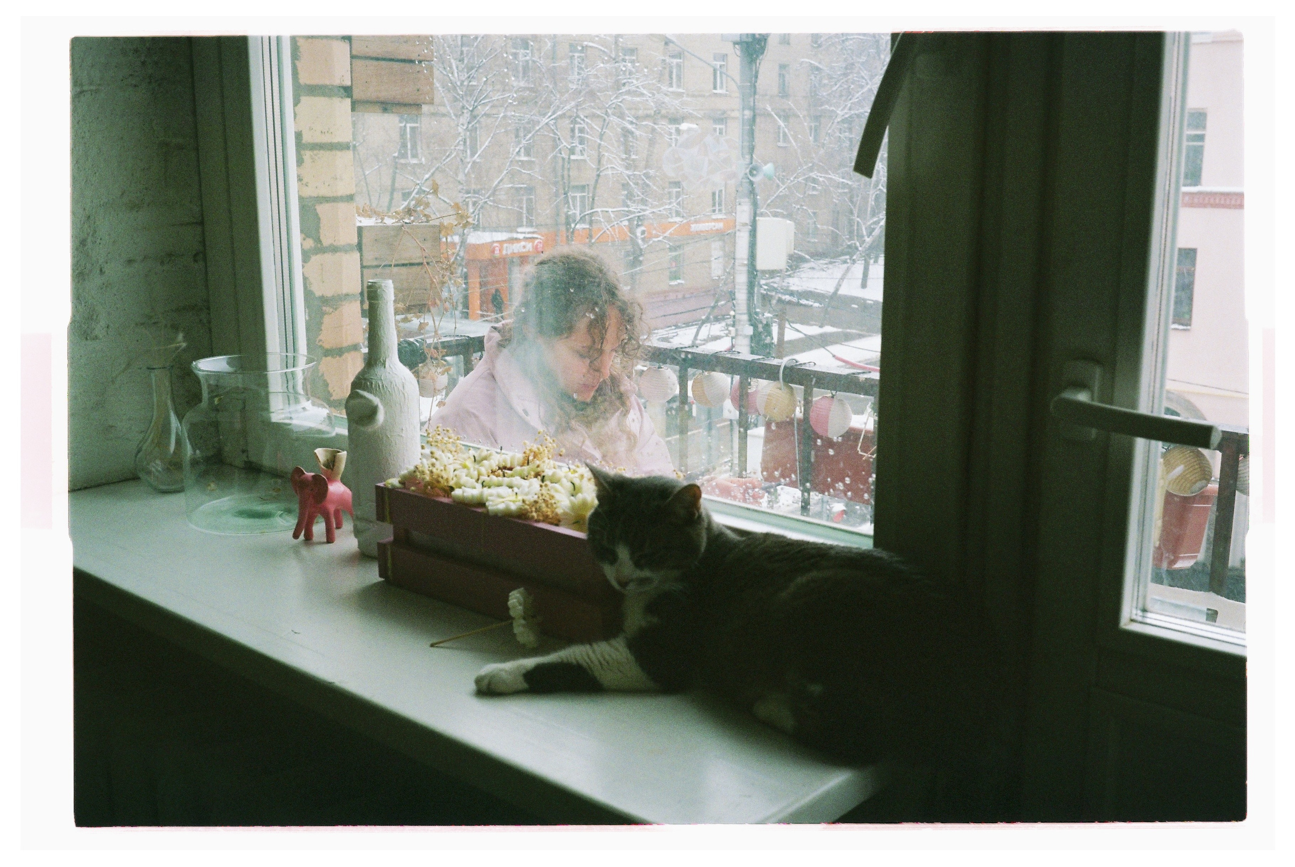 Winter/2025. Regina Platonova