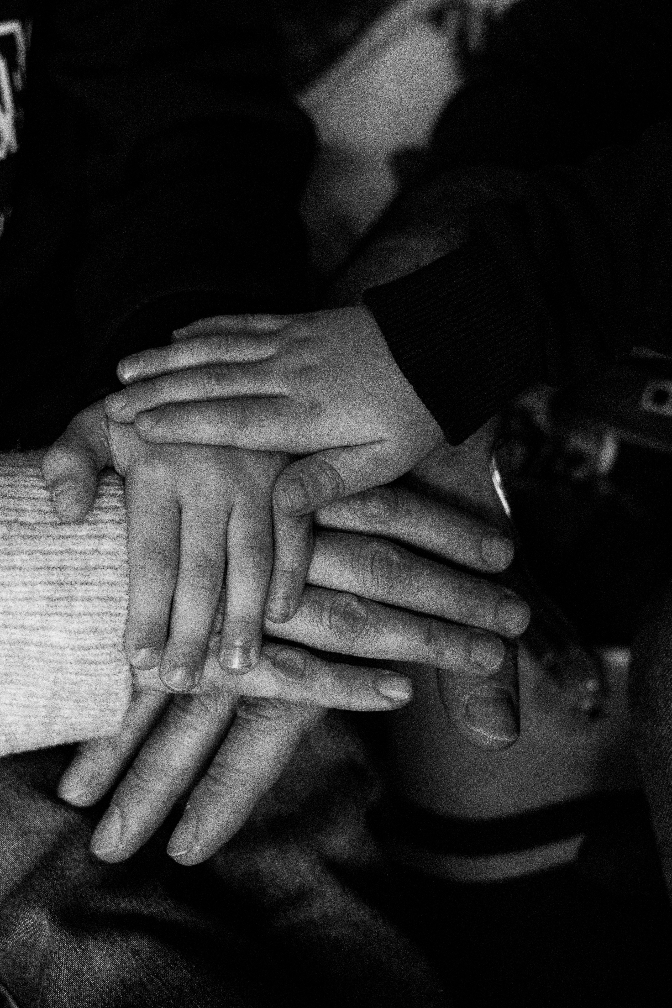 Домашние фотоистории