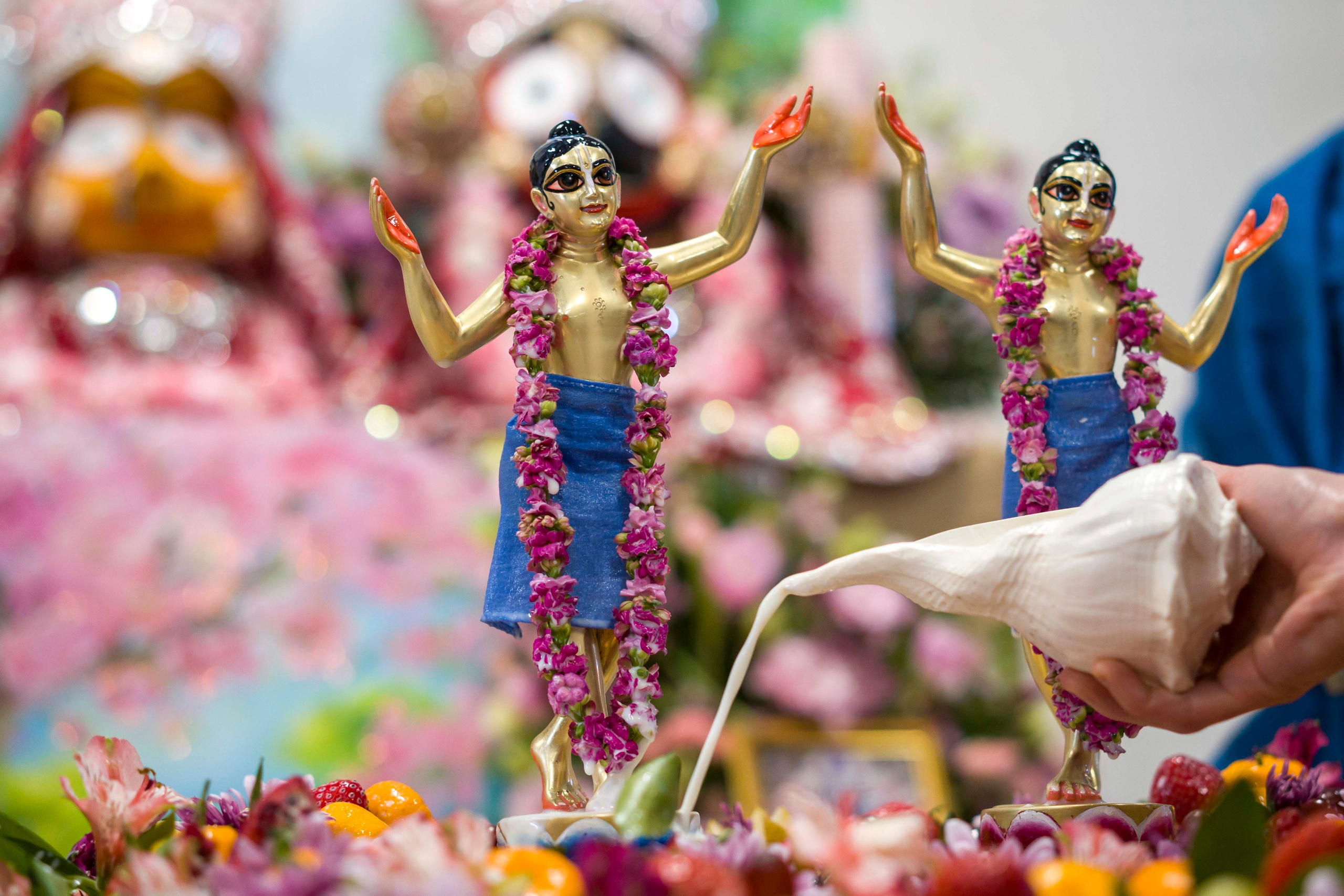 Нитьянанда Трайодаши 2026. Фотограф в Санкт-Петербурге. Репортажная и все съёмки для бизнеса