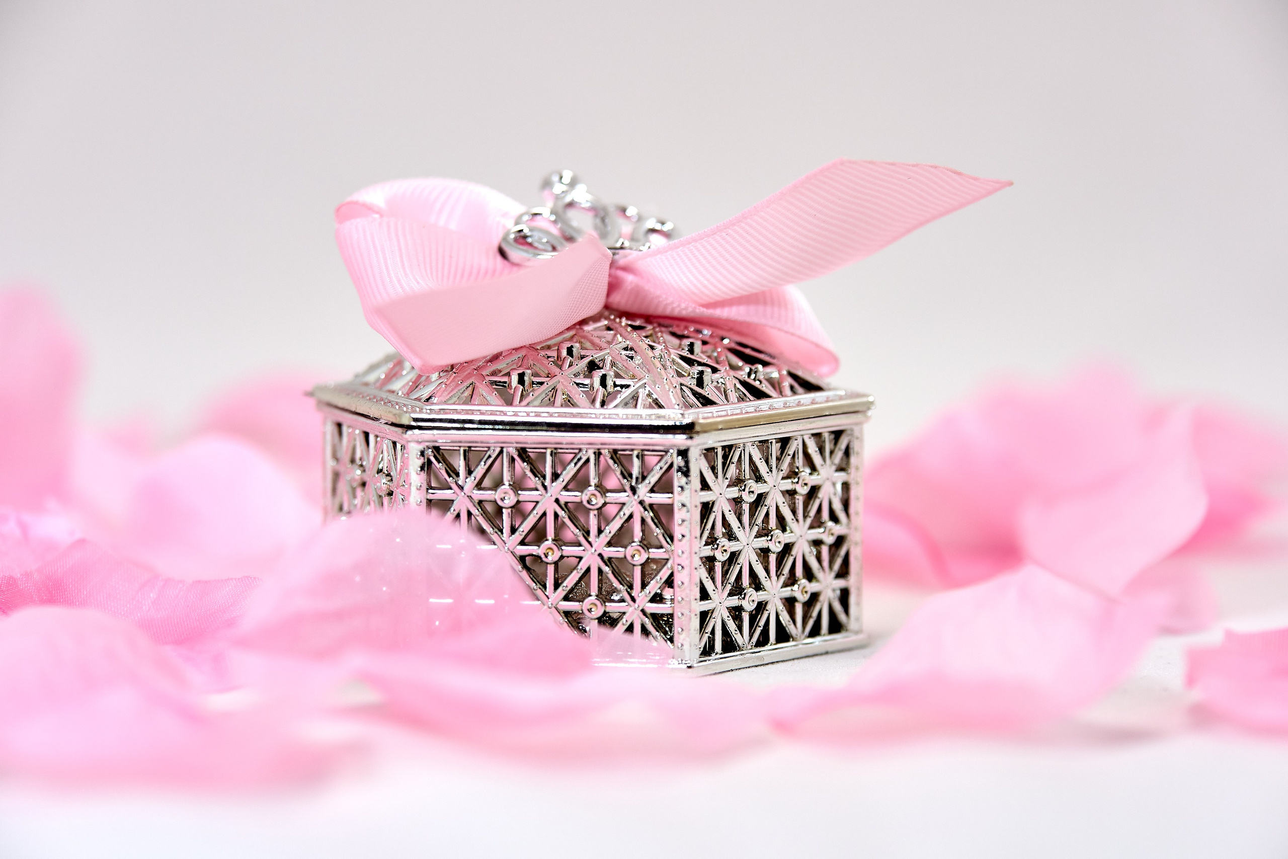 Пердметная фотография. Контент фотография. Краснодар