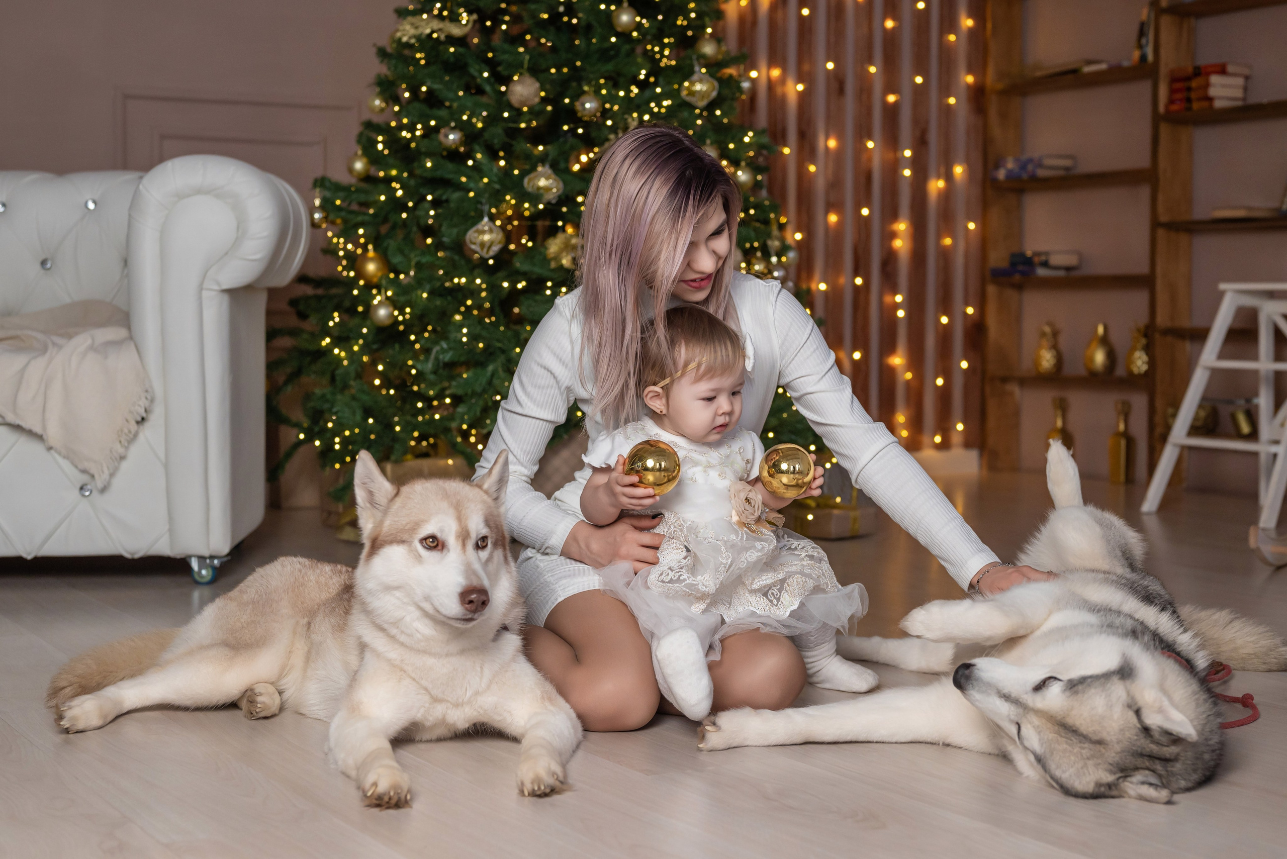 Фотопроект с хаски. Фотограф в городе Салават