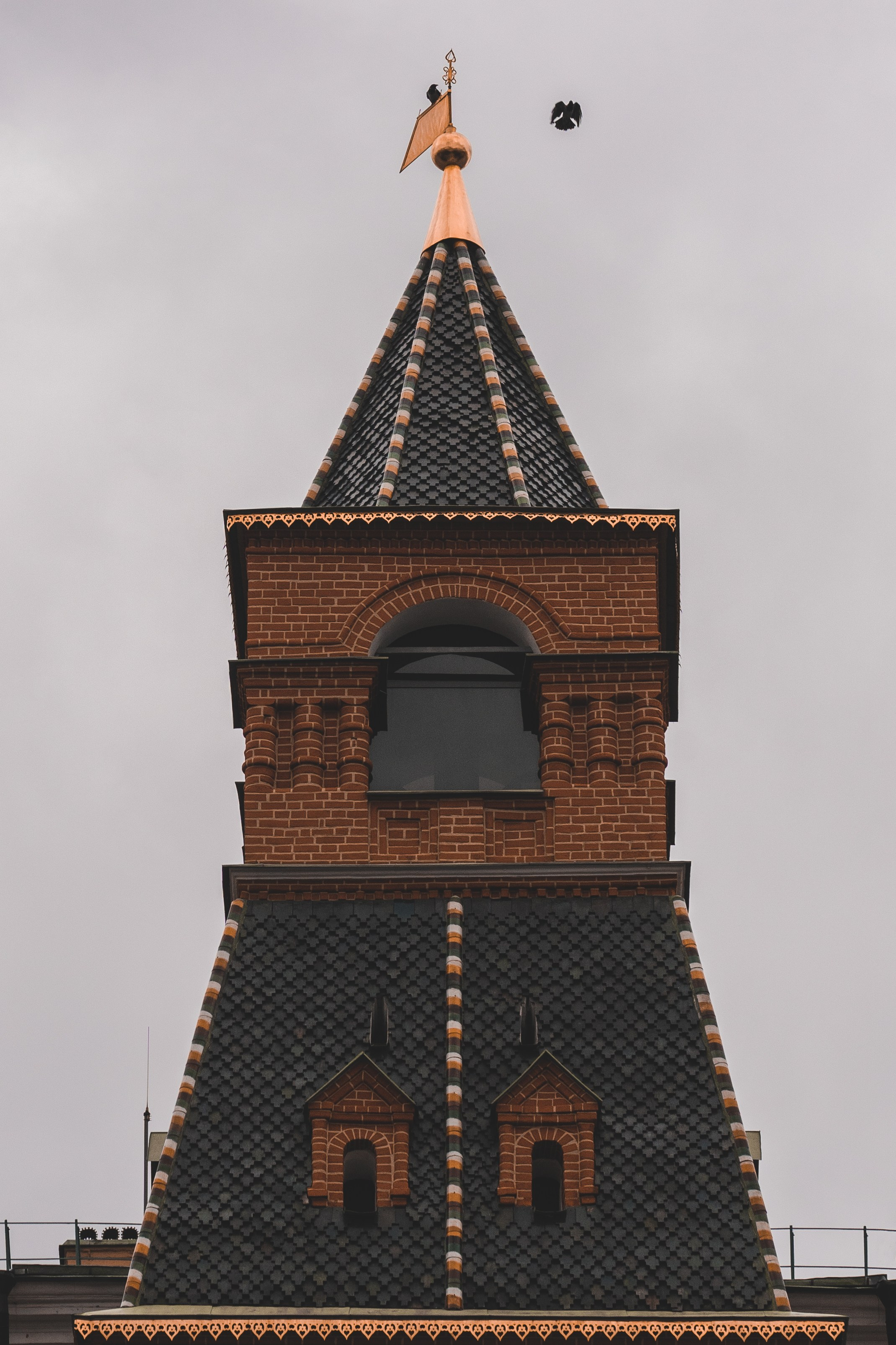 Разное. Photomantis