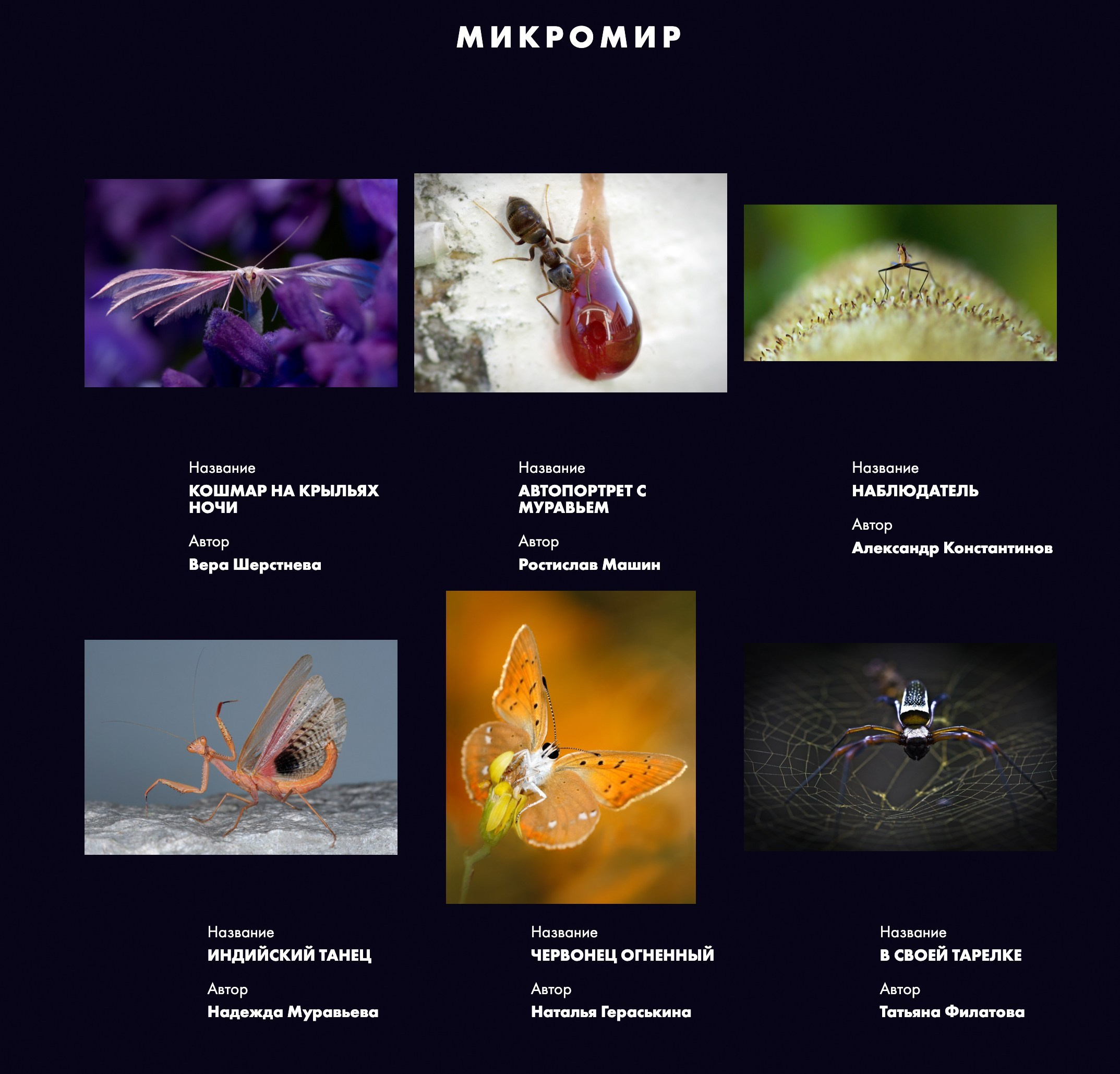 Дипломы, публикации в СМИ. Авторские стильные фотокартины