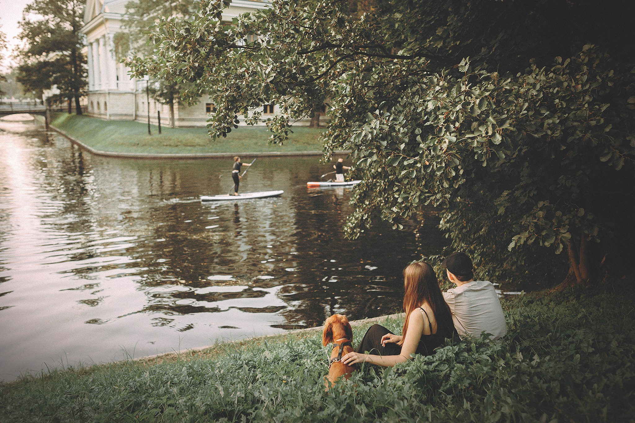 Майк. Фотограф-анималист • love-story • Санкт-Петербург