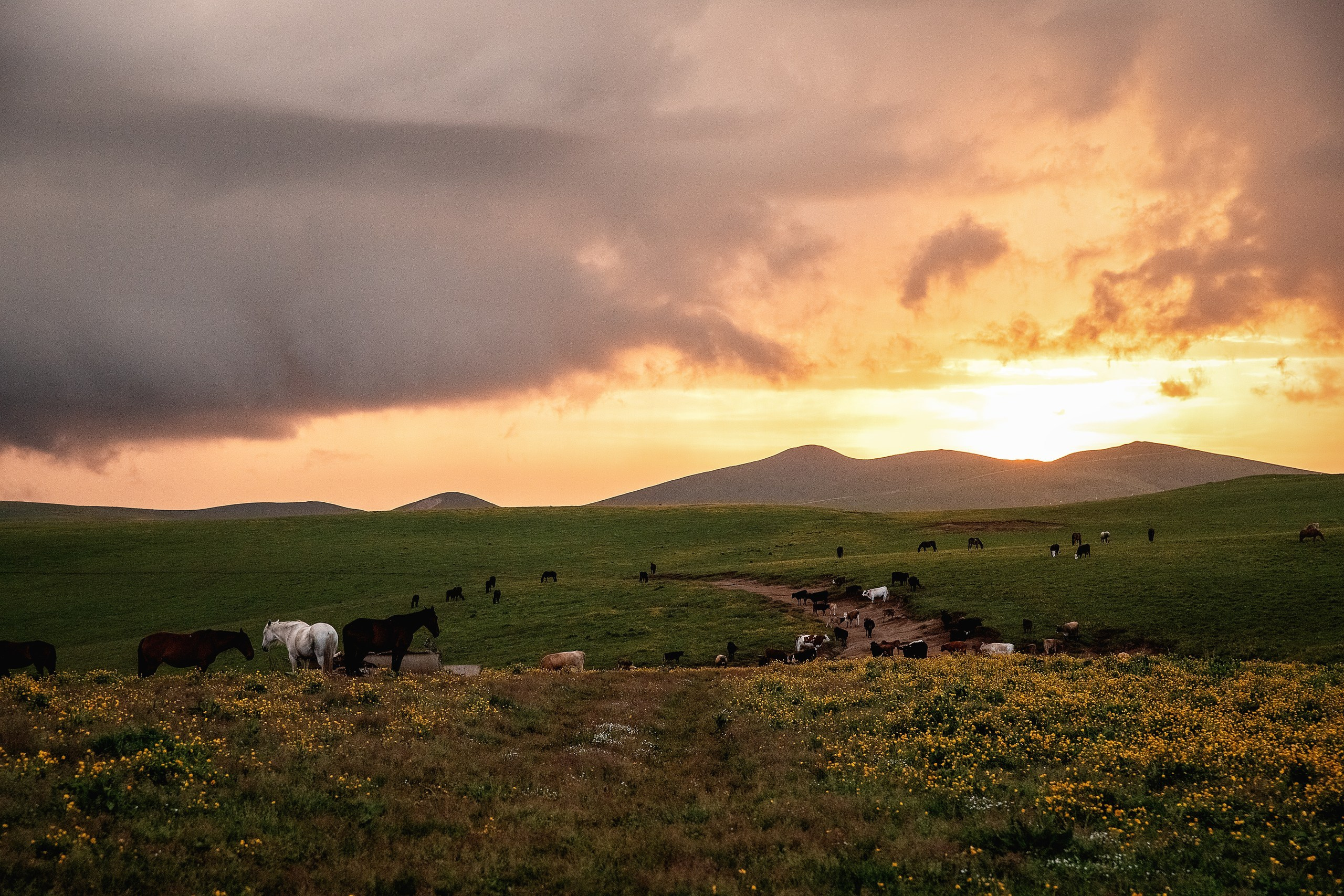 Плато Бийчесын. BrisArts