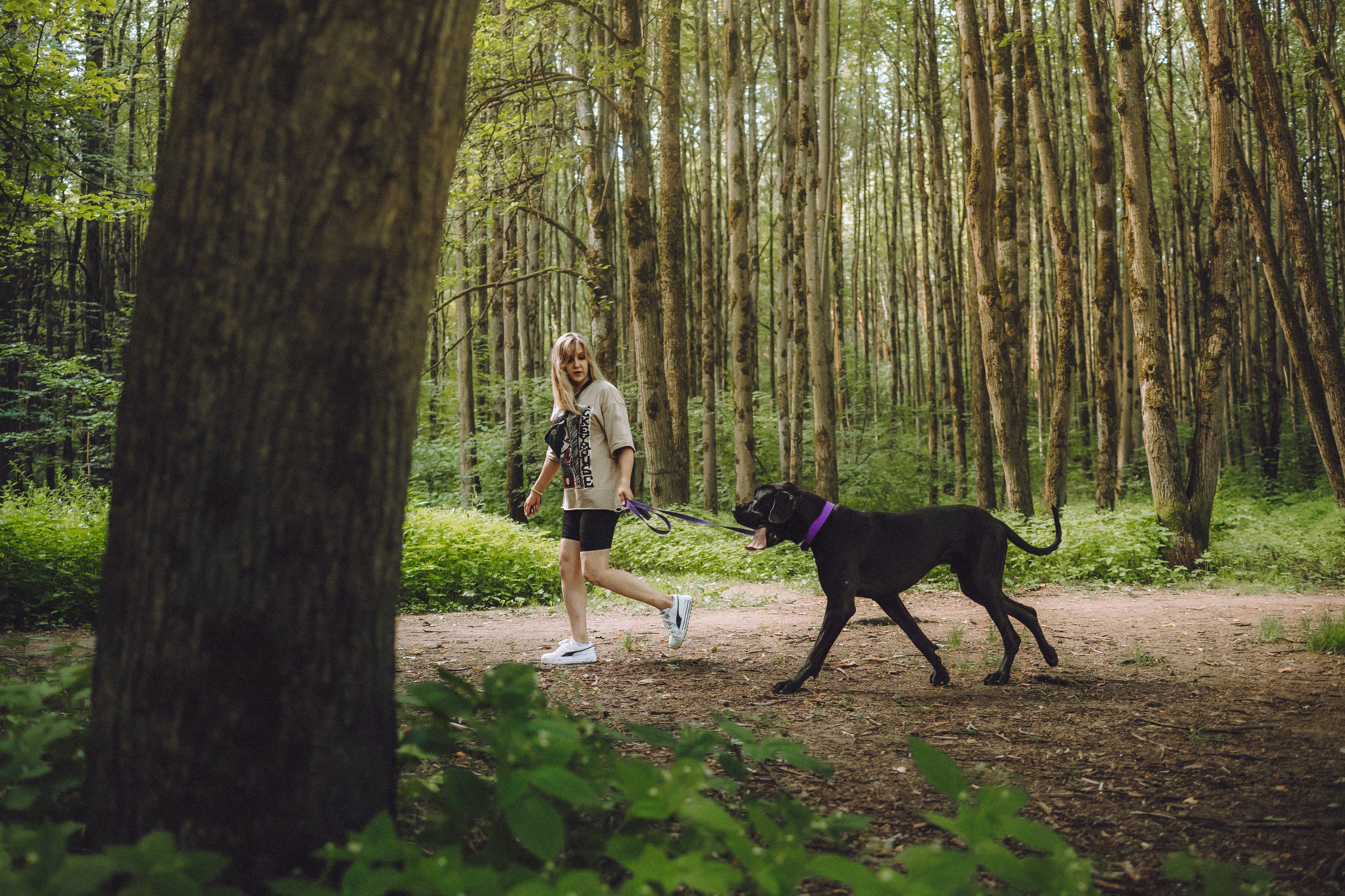Катя, Андрей, Гектор, Ричи, Тортик и Трой
