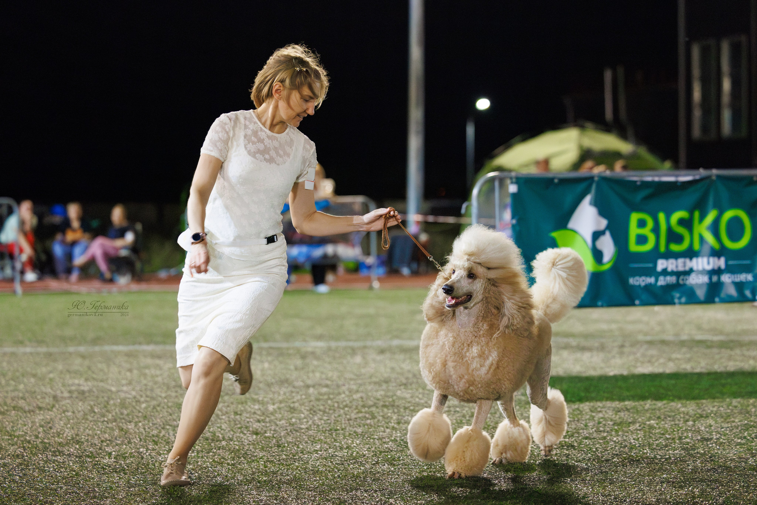 Волгоград 2-4.08.2024. Фотограф-анималист Юлия Германика